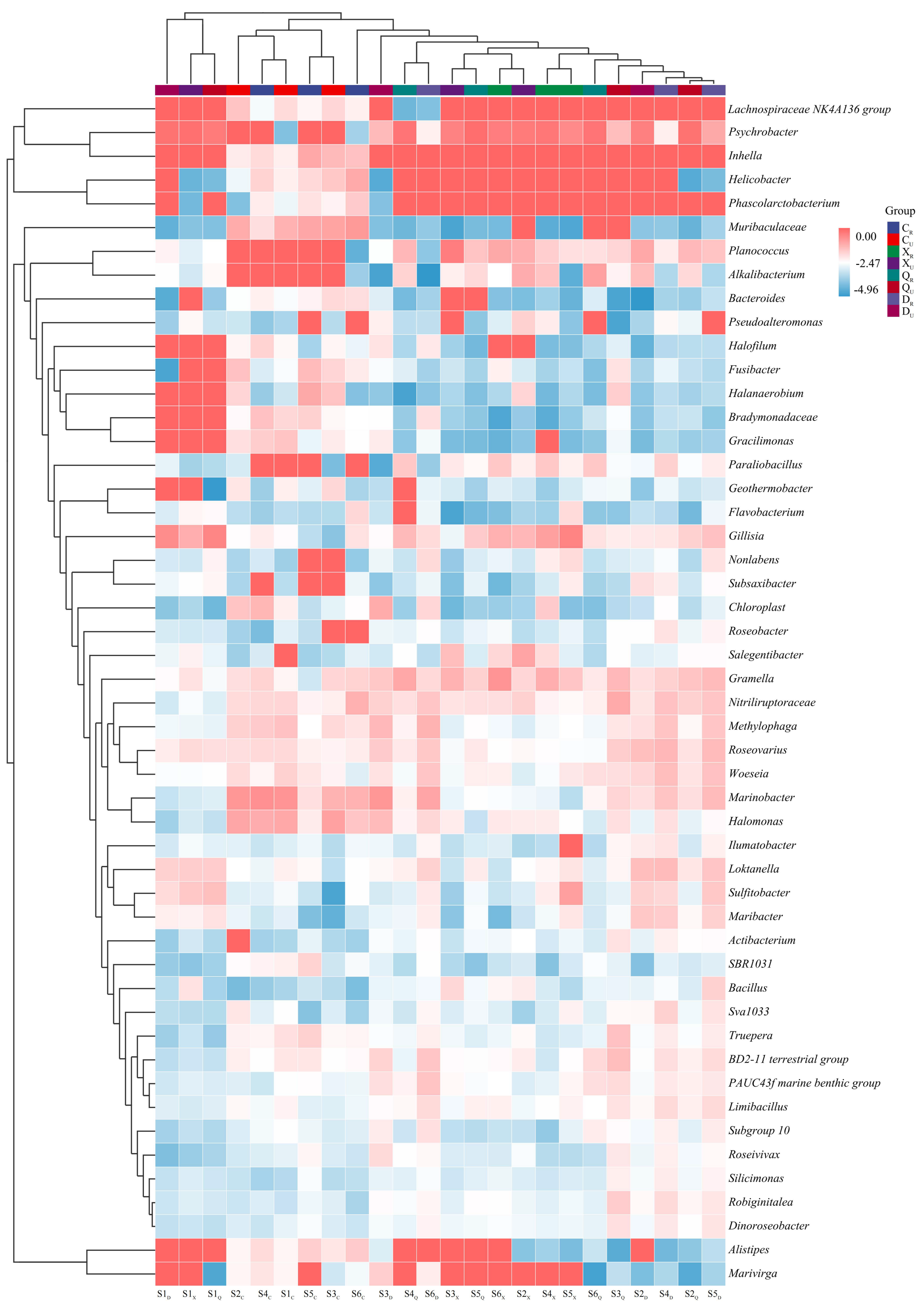 Plants 13 00213 g002