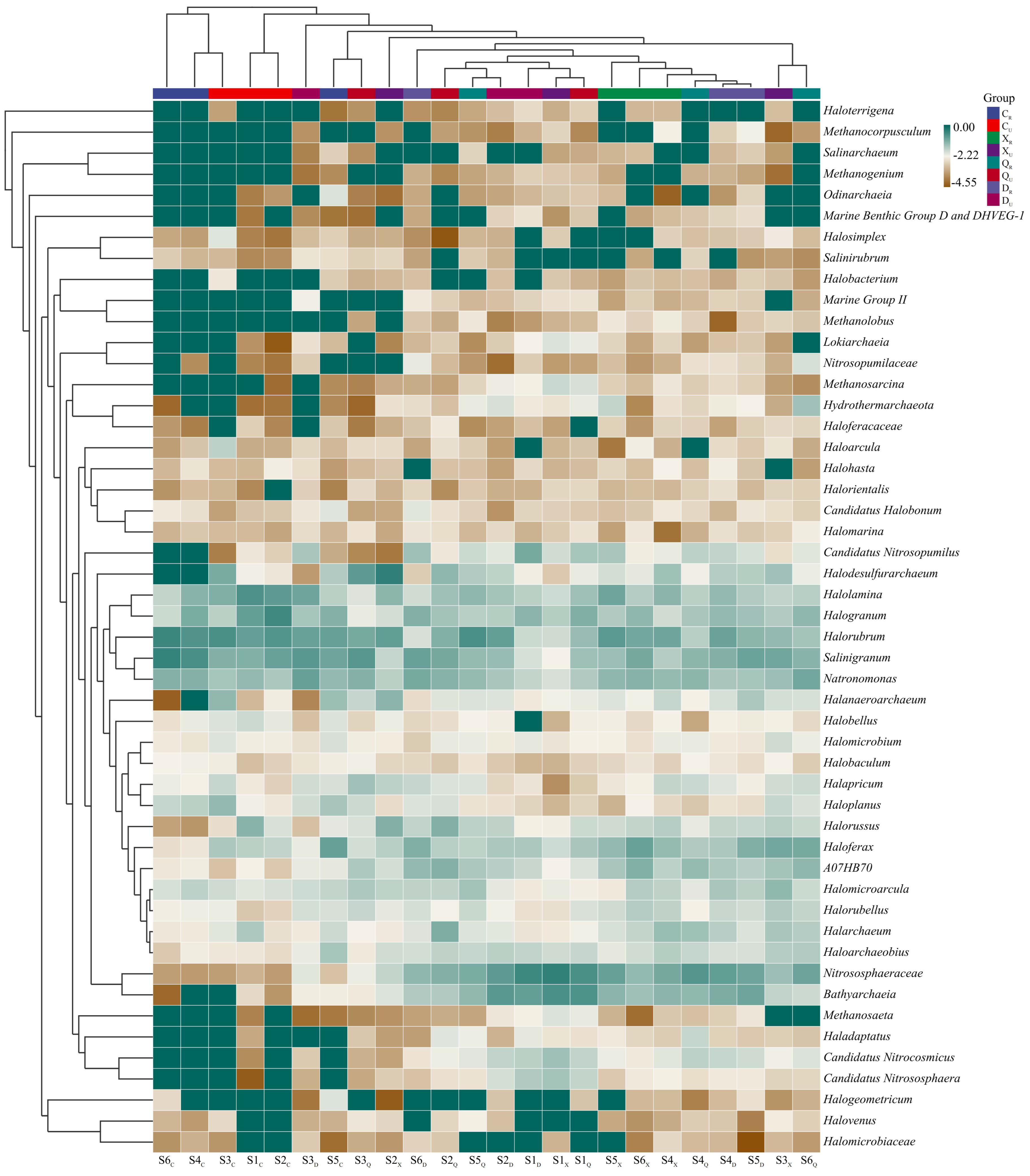 Plants 13 00213 g003