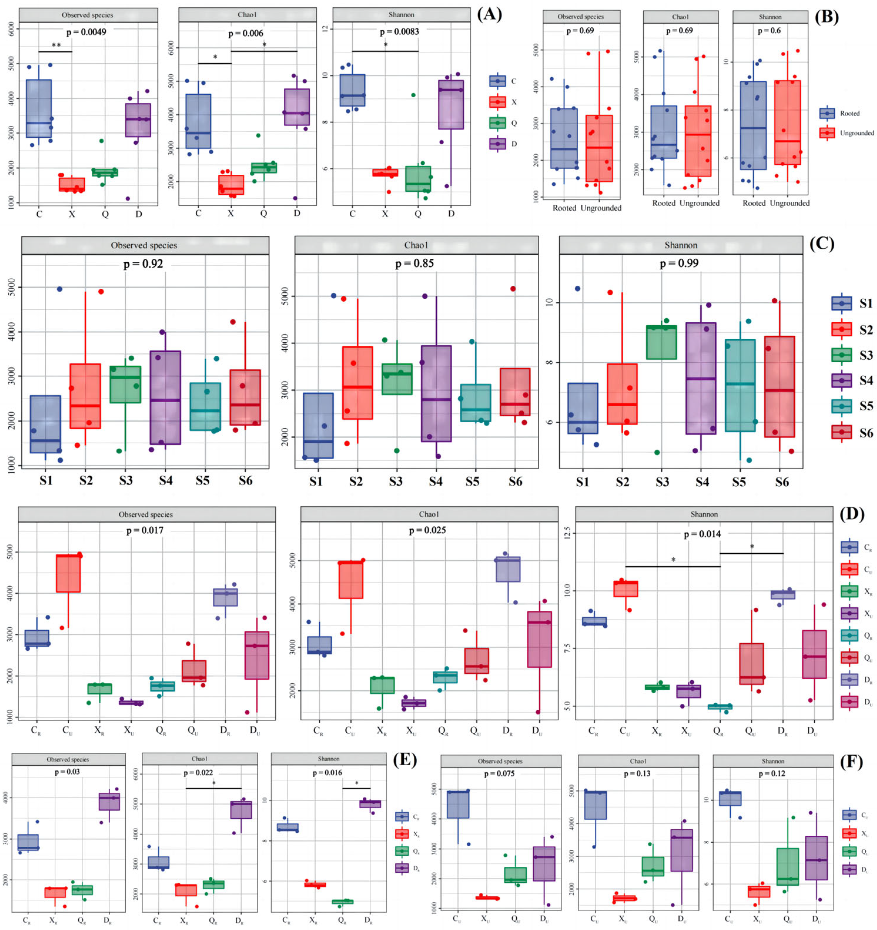 Plants 13 00213 g004