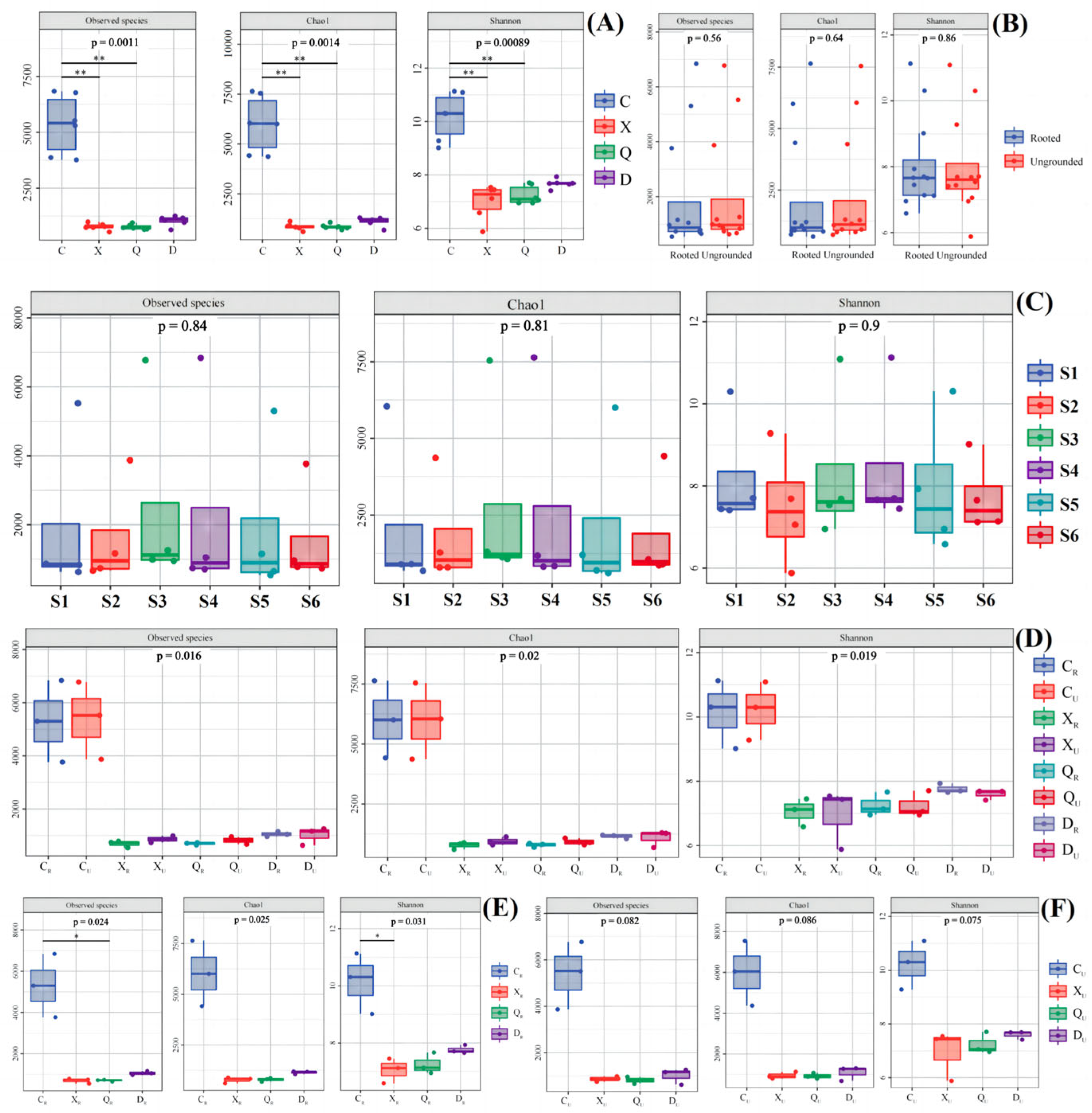 Plants 13 00213 g005