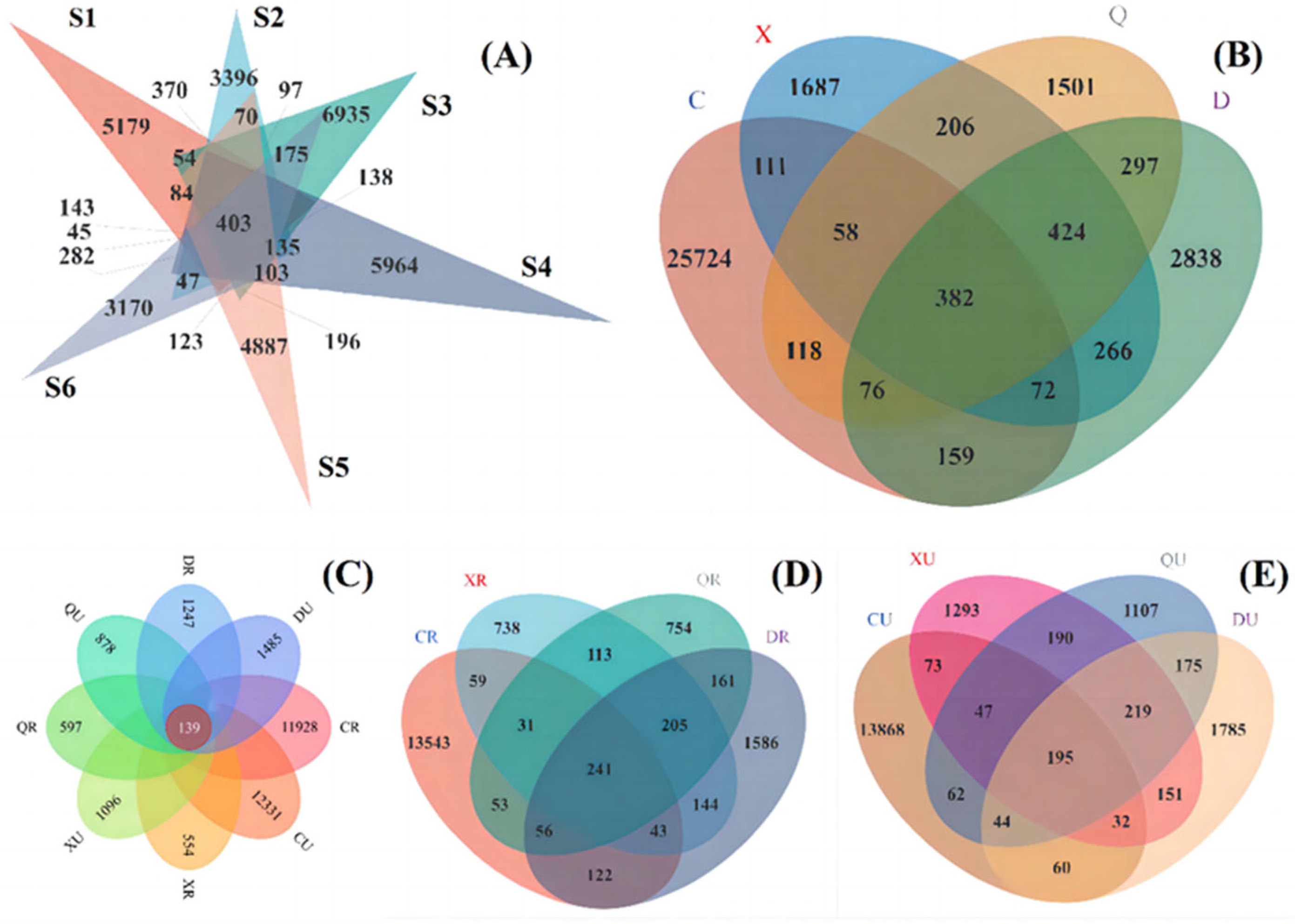 Plants 13 00213 g008