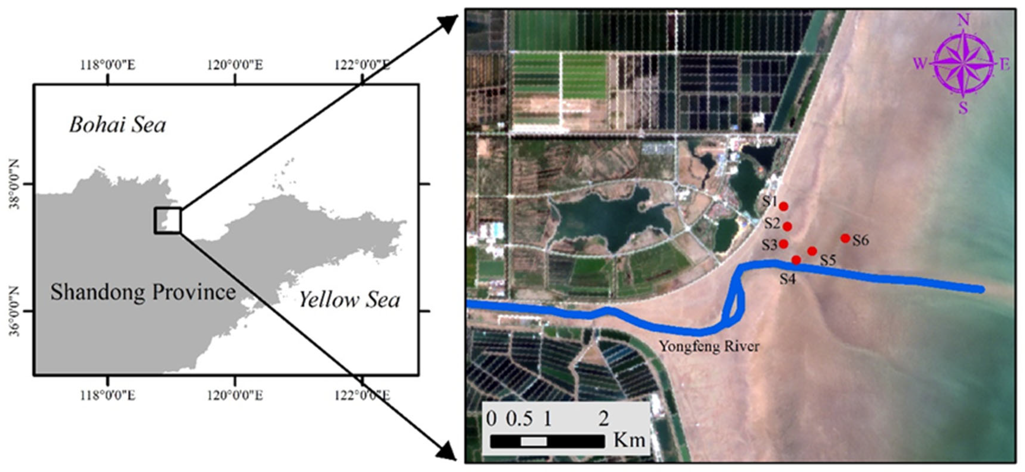 Plants 13 00213 g010