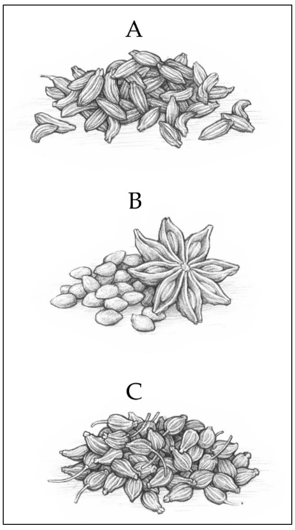 Plants 13 00214 g004