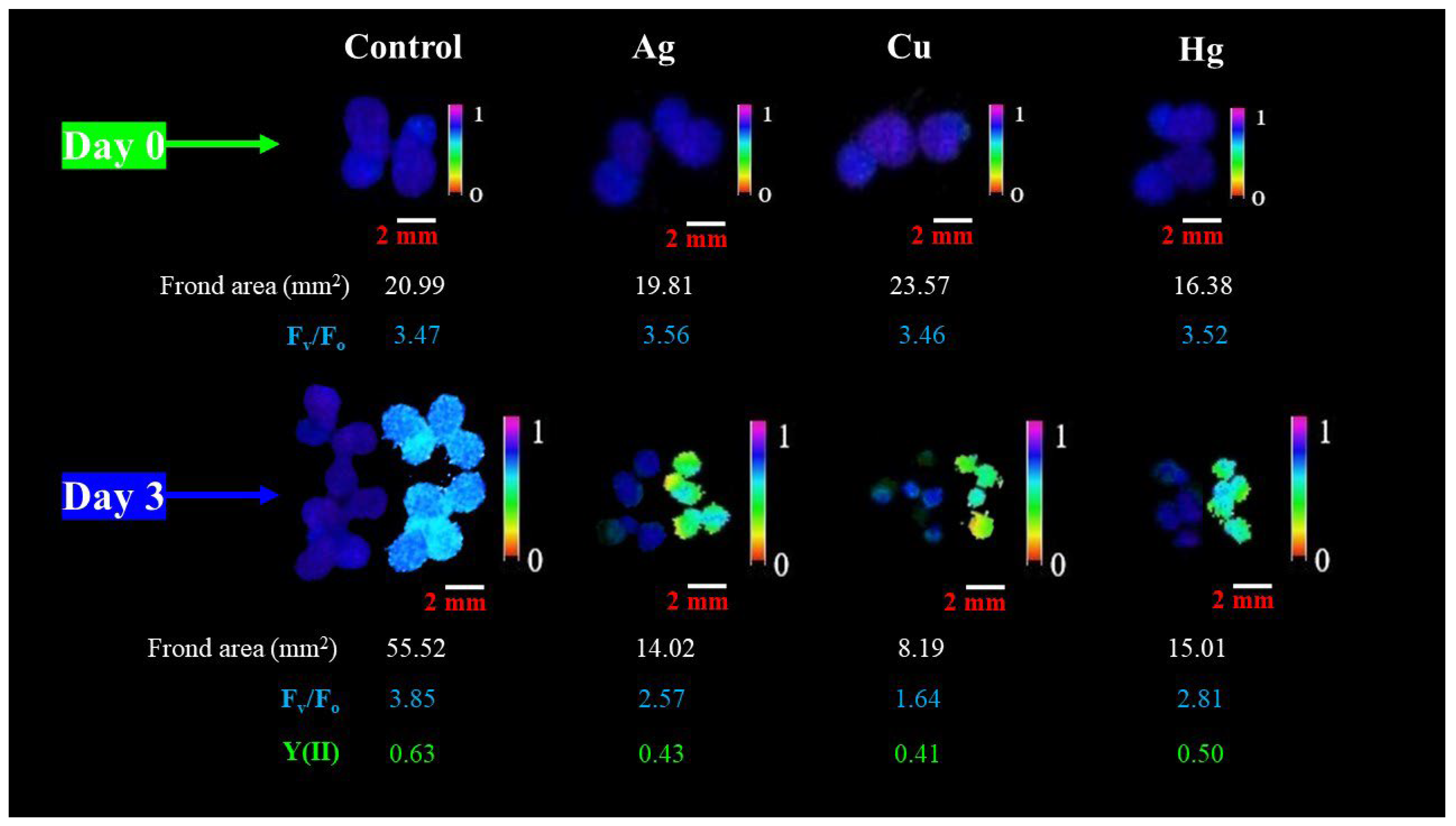 Plants 13 00215 g005