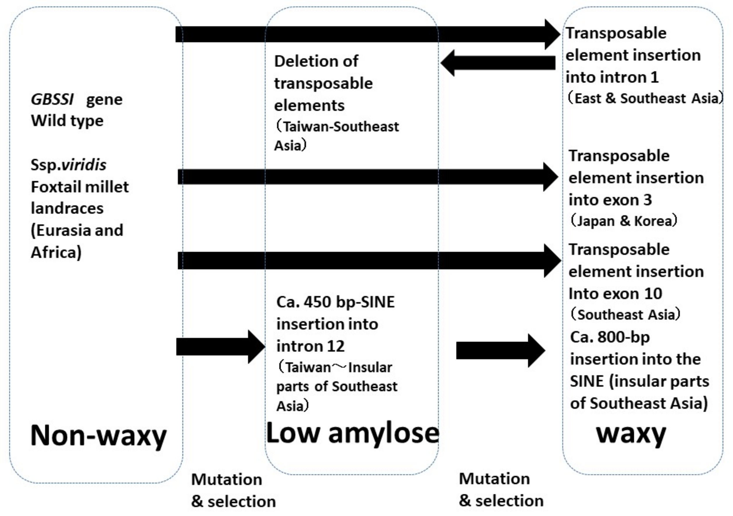 Plants 13 00218 g002
