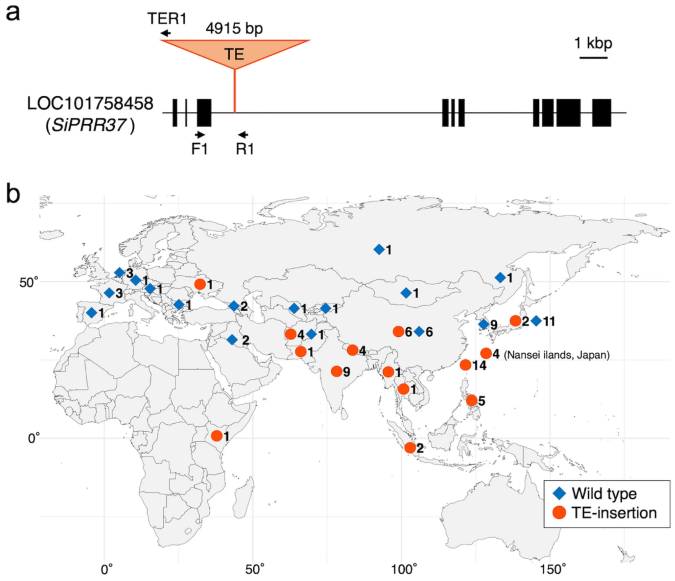 Plants 13 00218 g005
