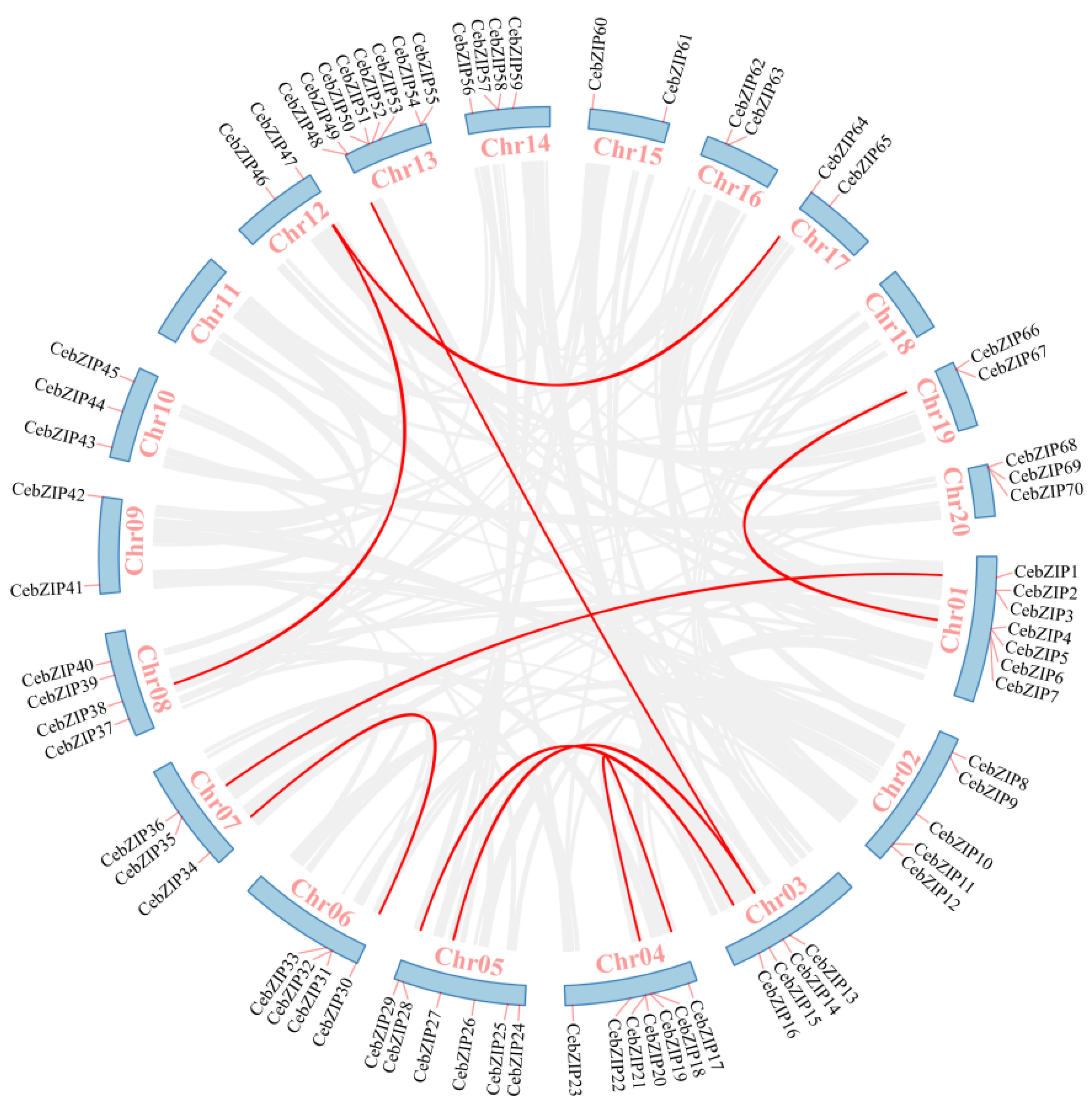 Plants 13 00219 g005