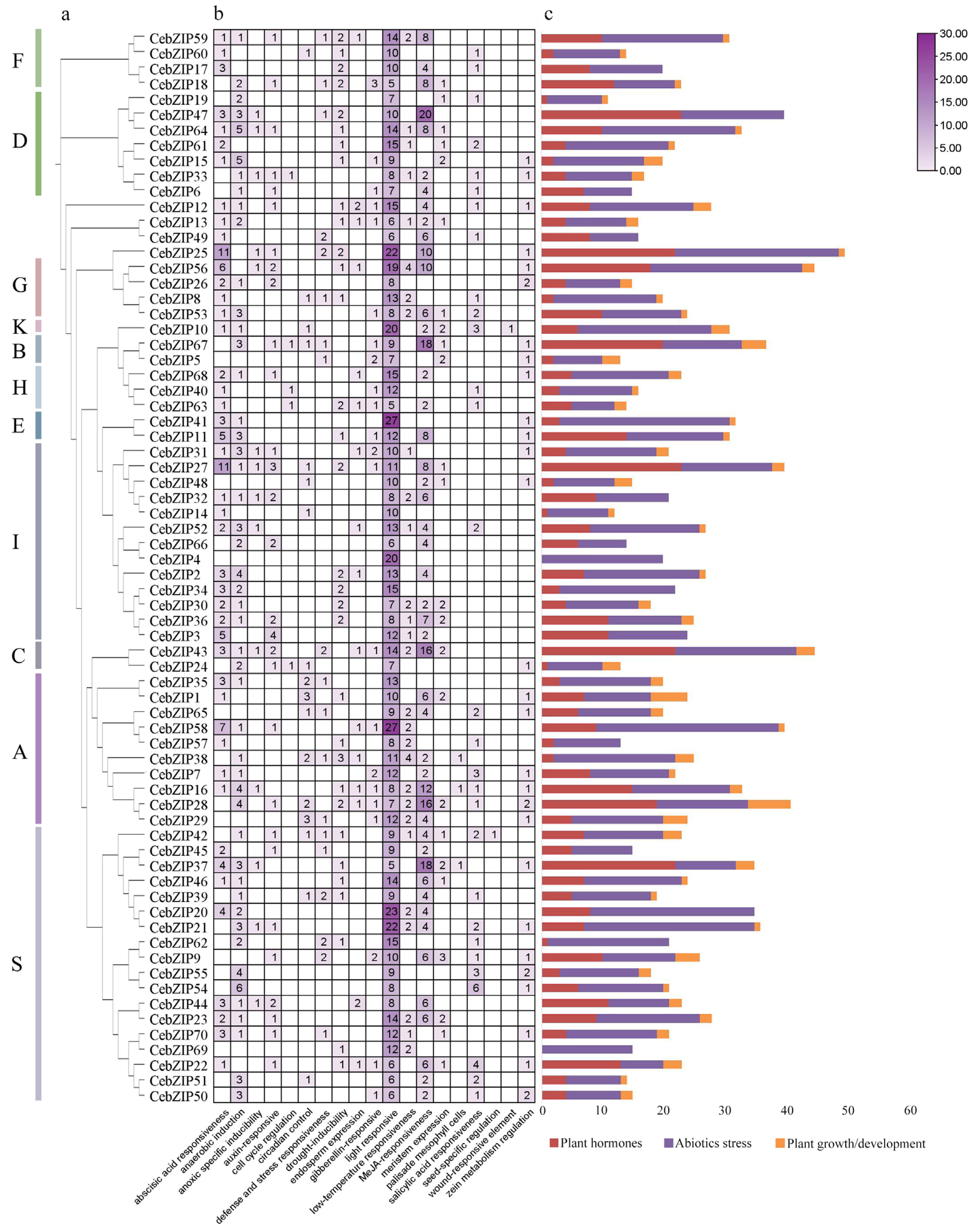 Plants 13 00219 g007