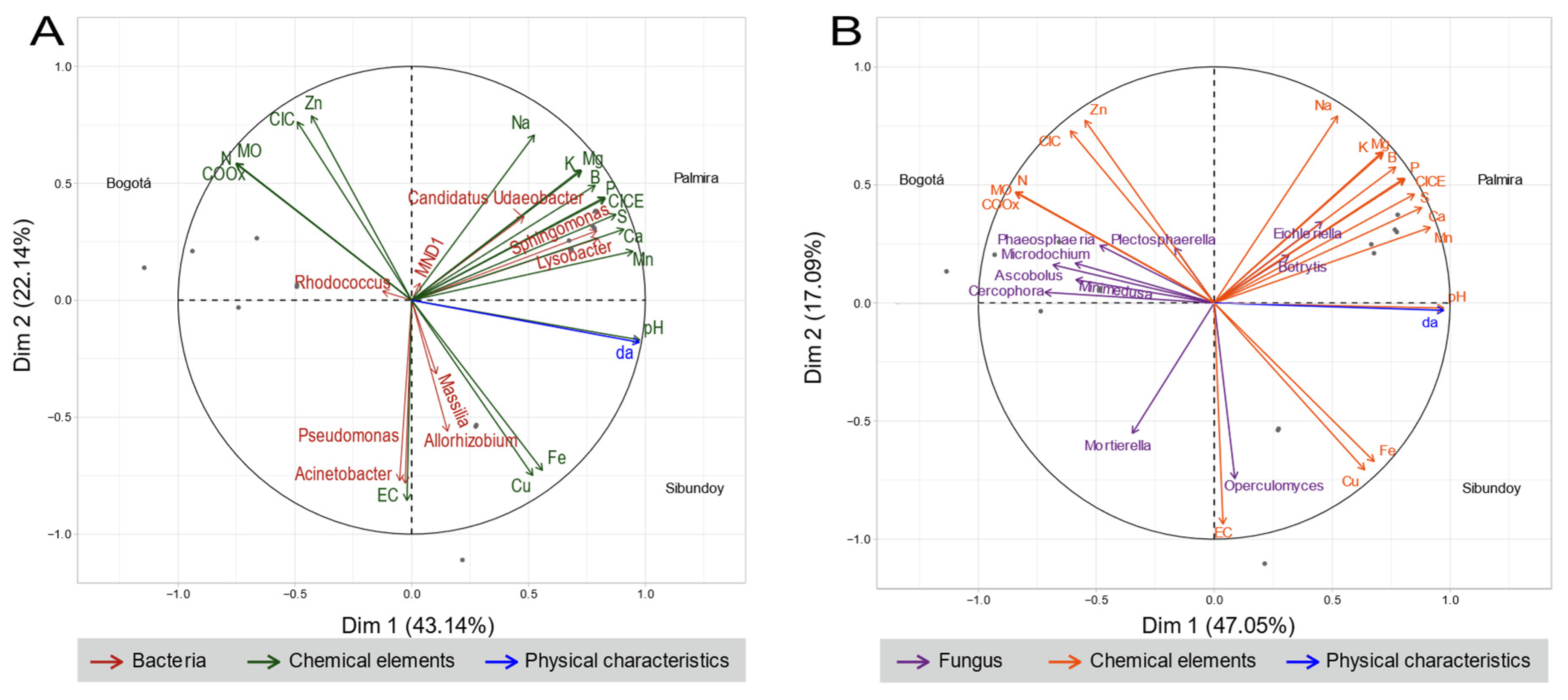 Plants 13 00221 g008