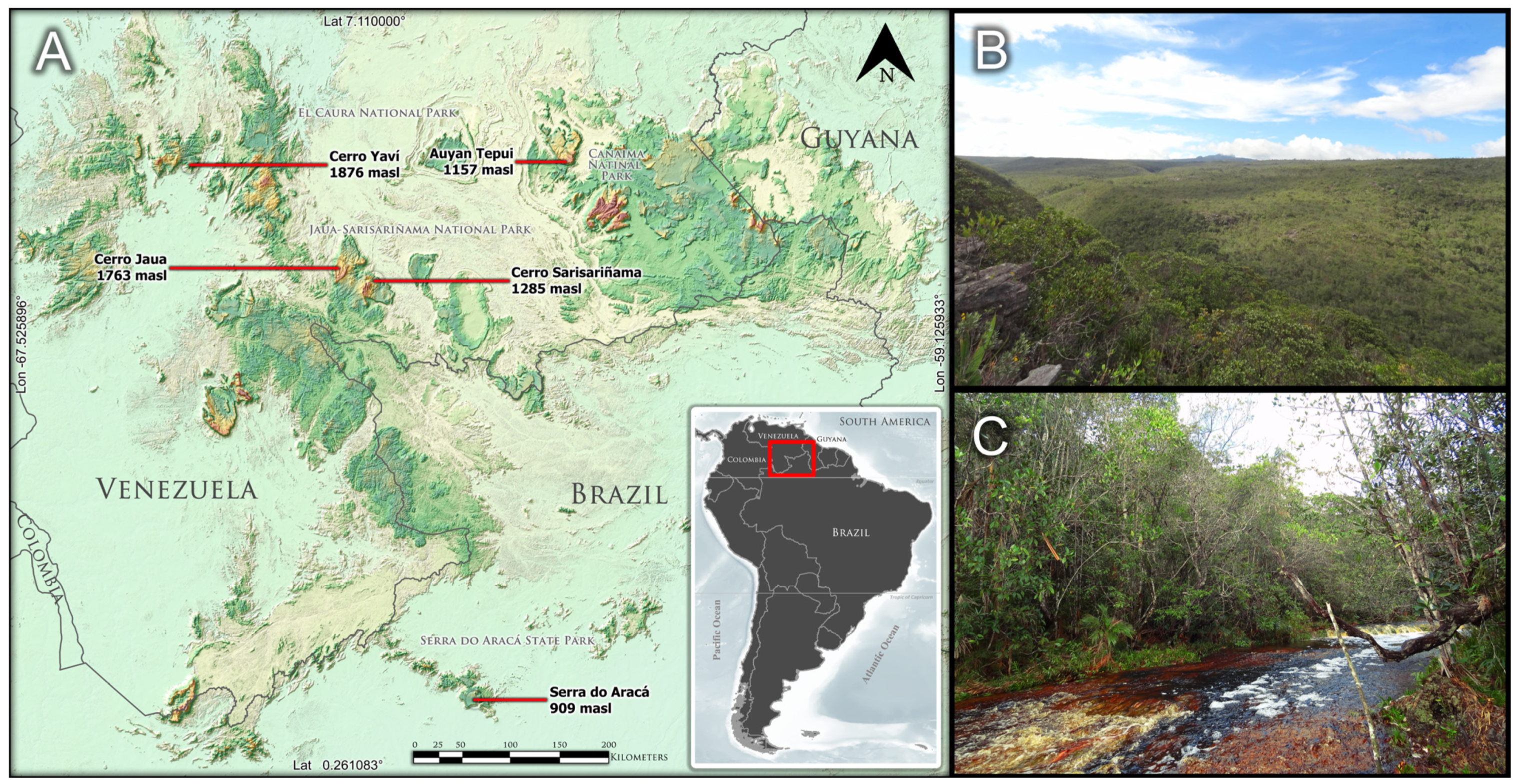 Plants 13 00222 g001
