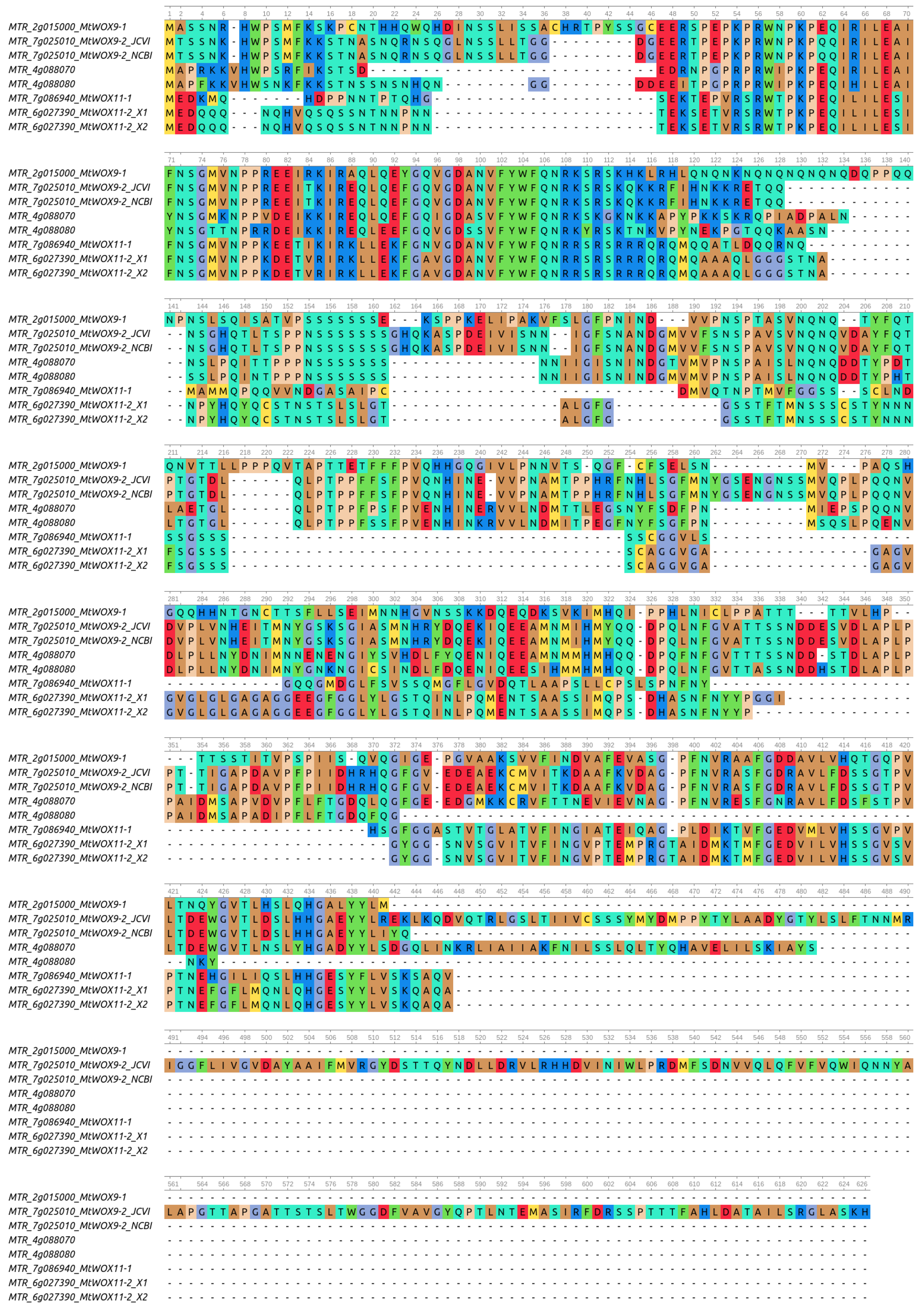 Plants 13 00223 g001