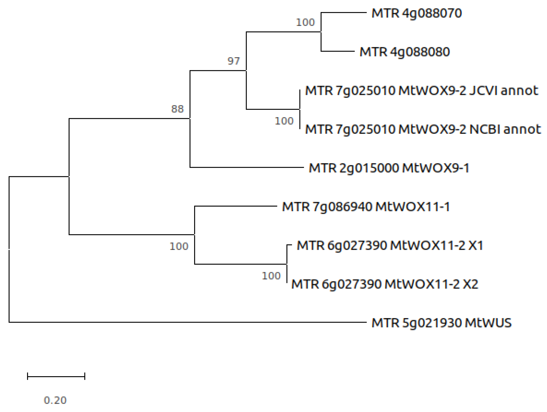 Plants 13 00223 g002