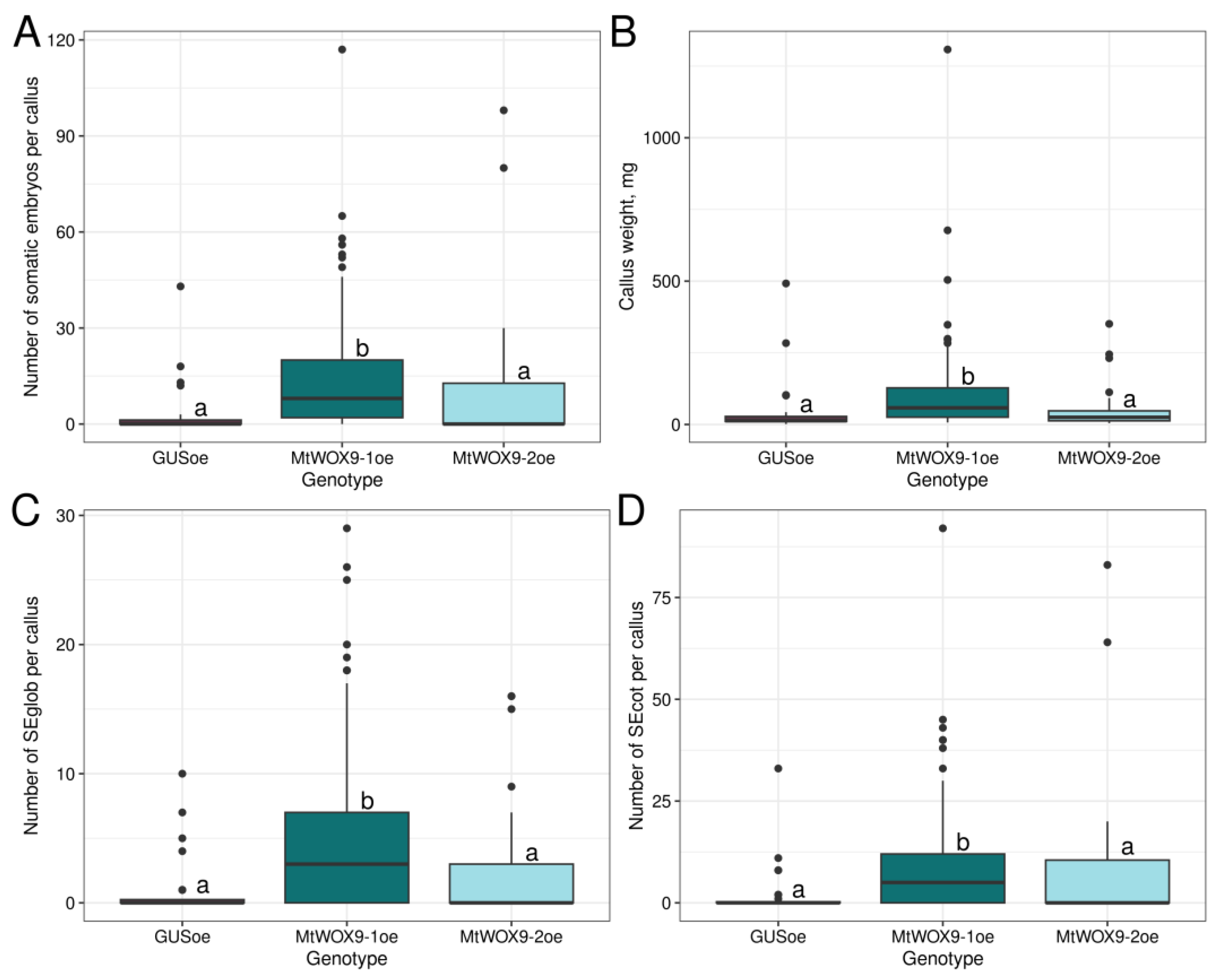 Plants 13 00223 g003