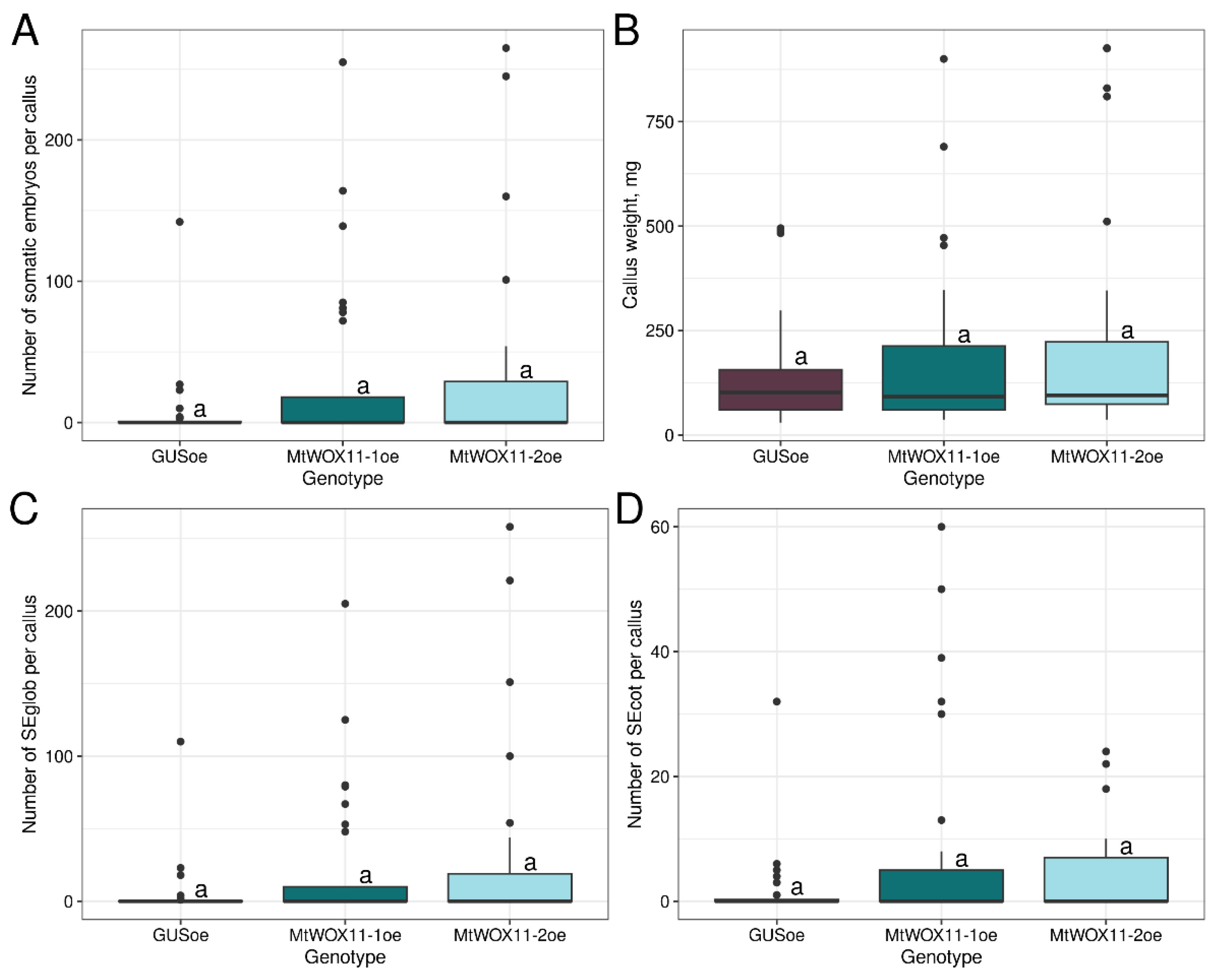 Plants 13 00223 g006