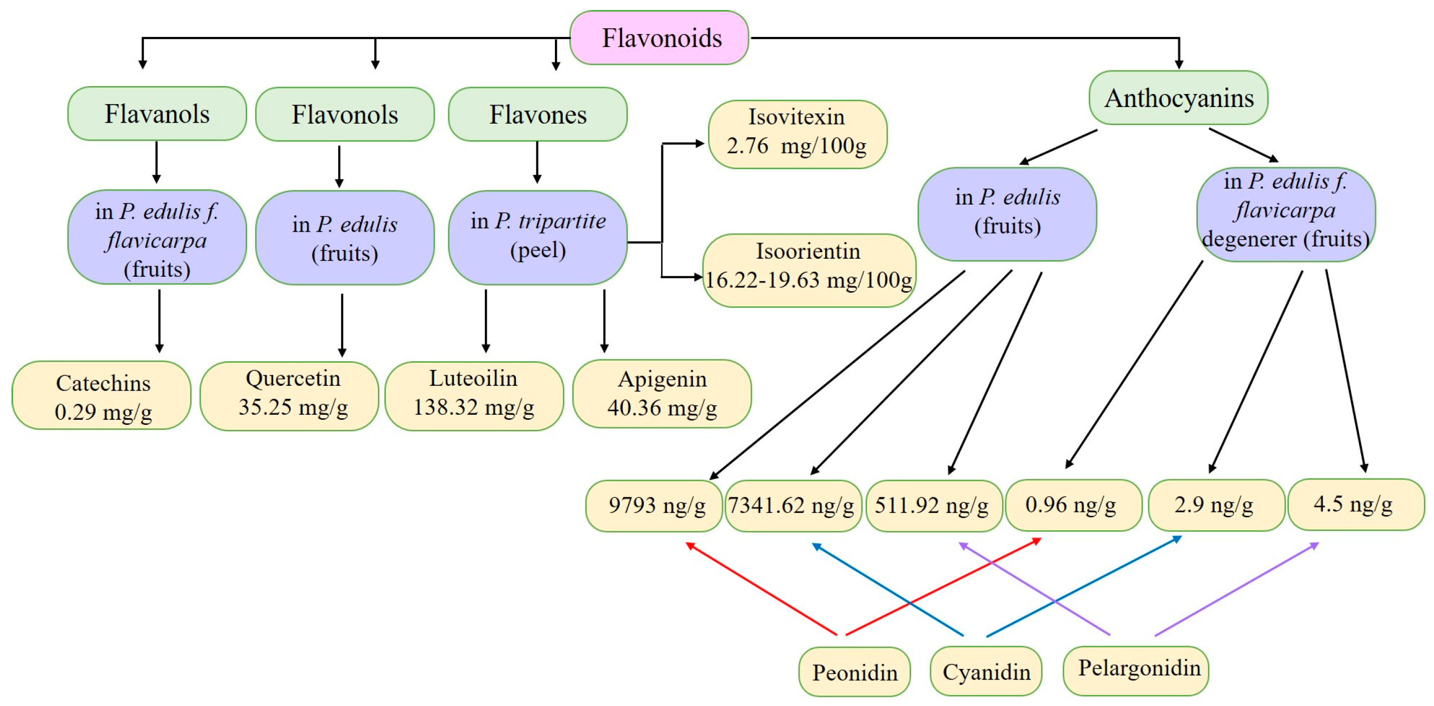 Plants 13 00228 g002