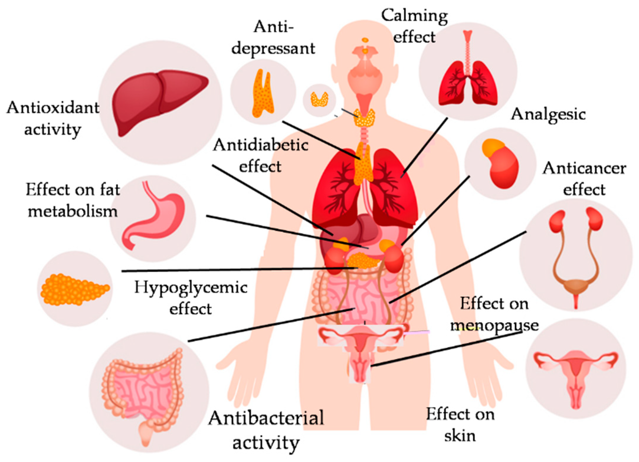 Plants 13 00228 g006