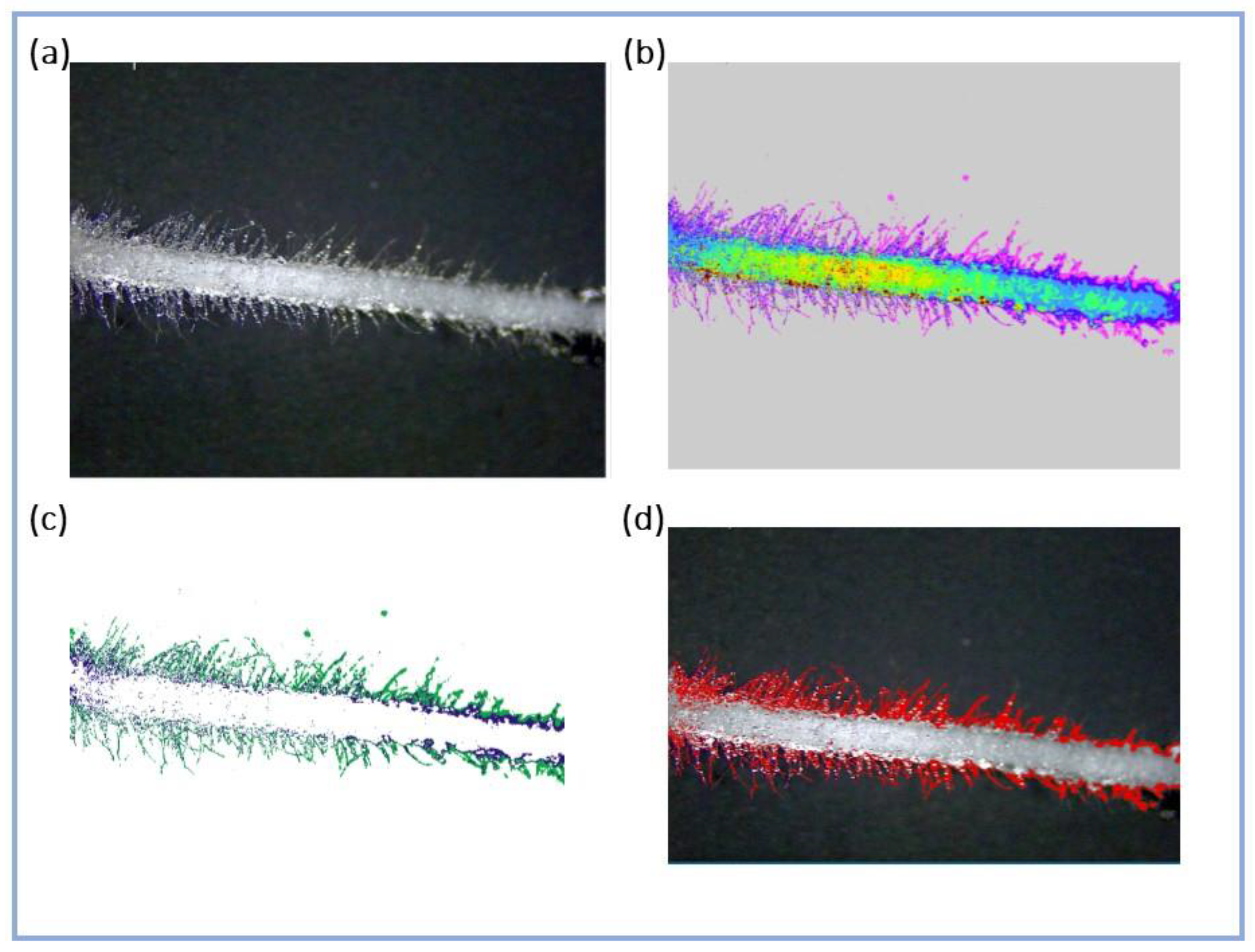 Plants 13 00230 g012