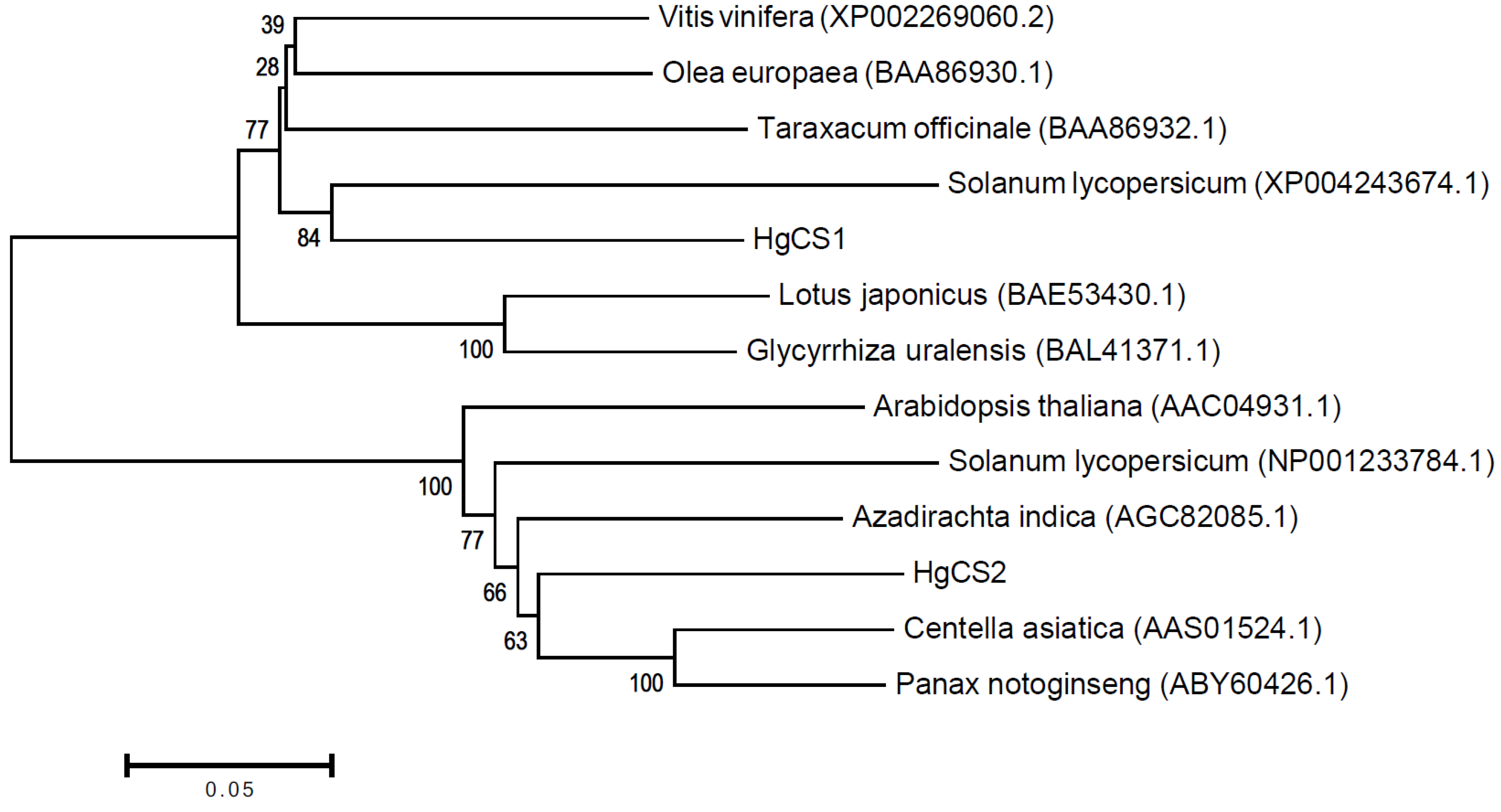 Plants 13 00231 g002