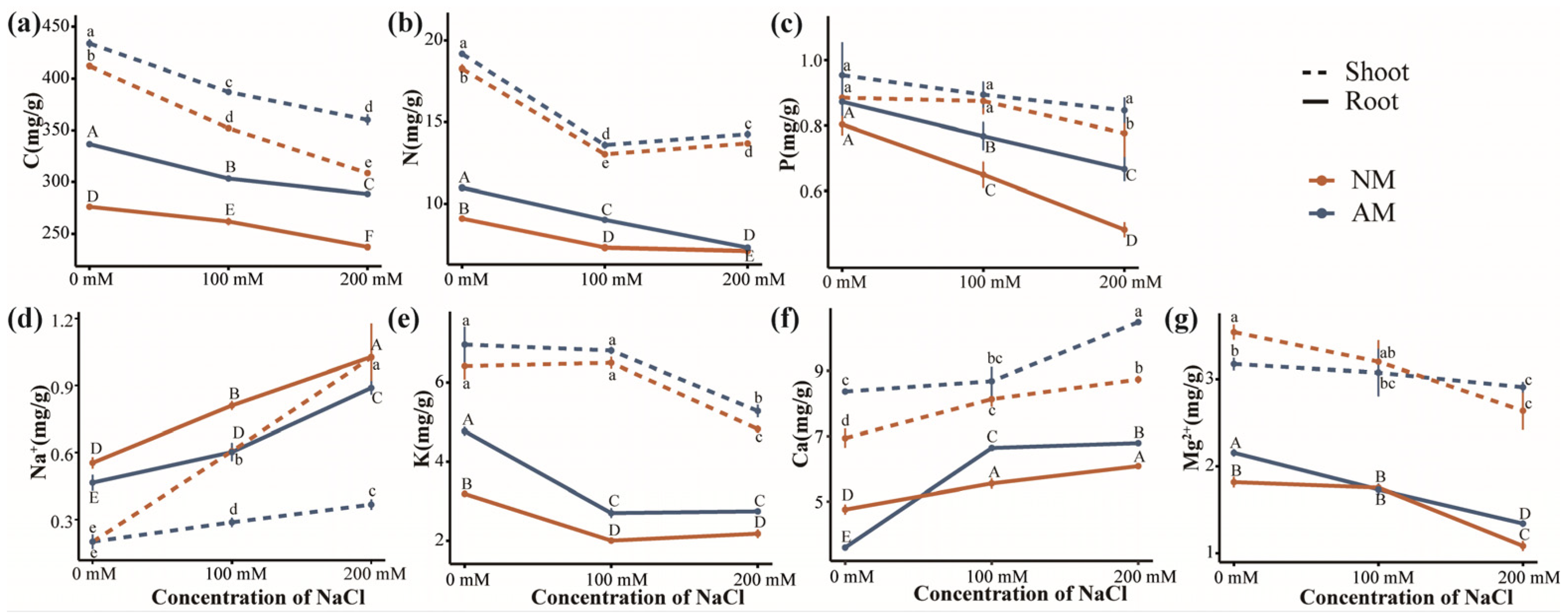 Plants 13 00233 g004