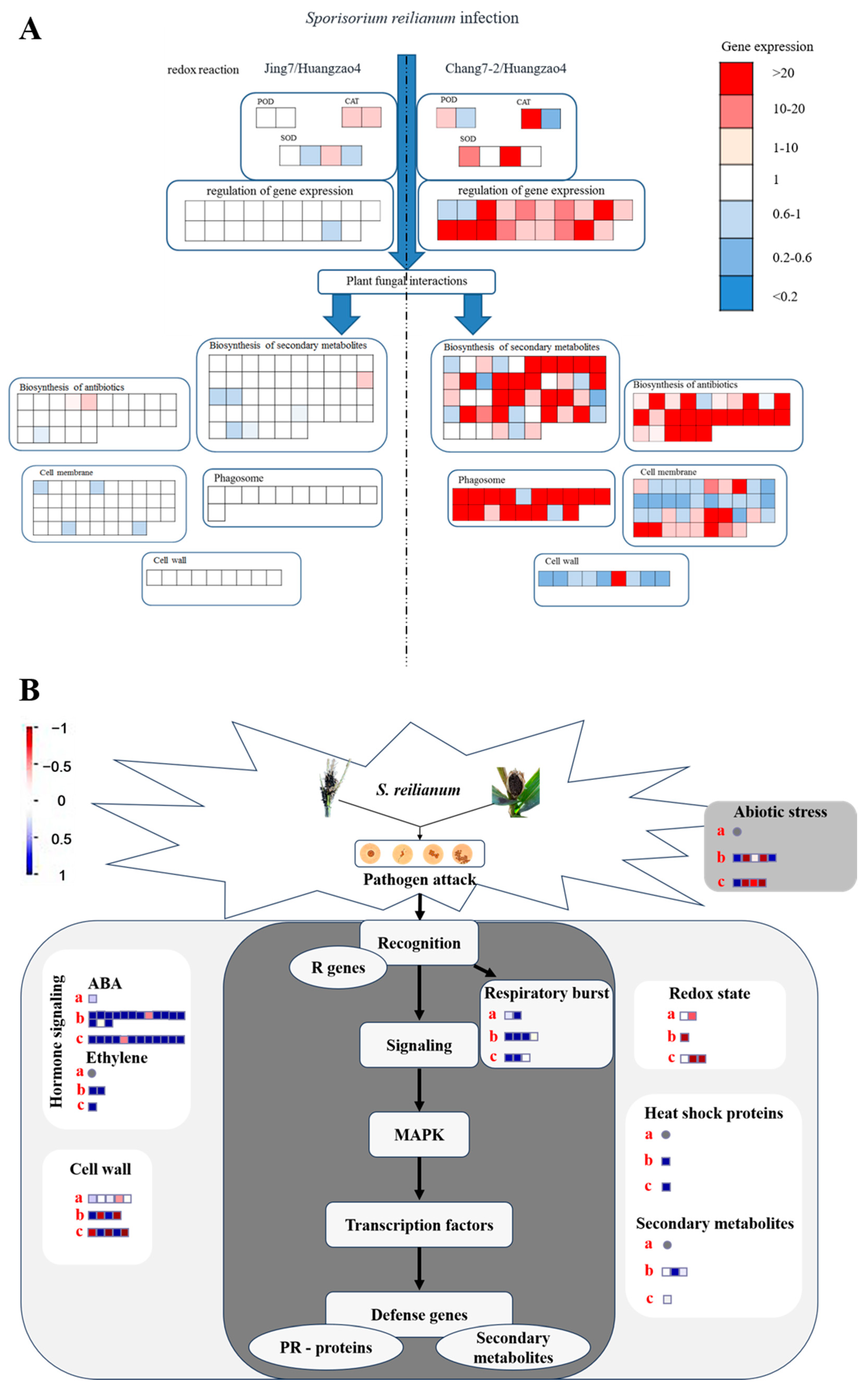 Plants 13 00238 g005