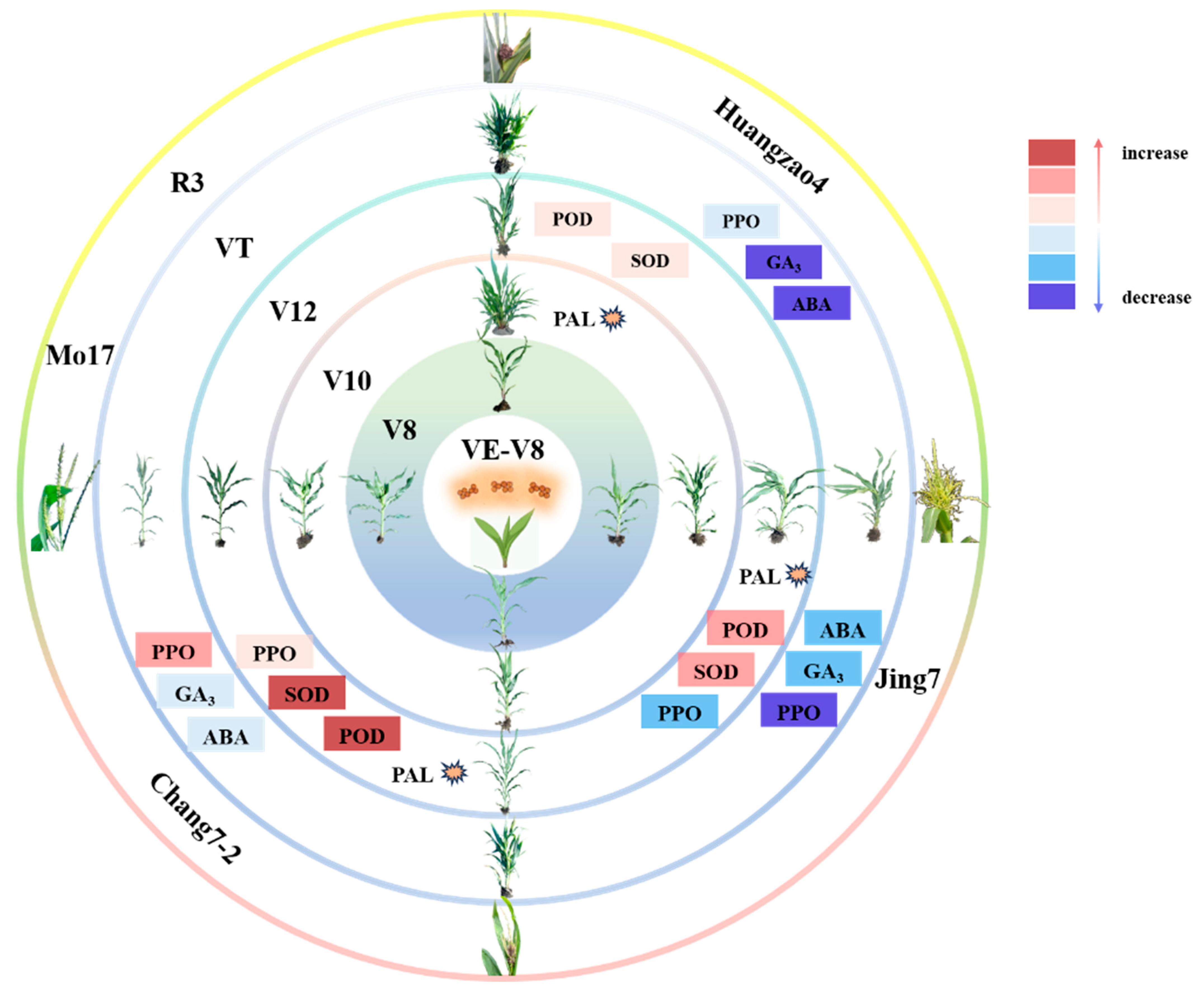 Plants 13 00238 g006