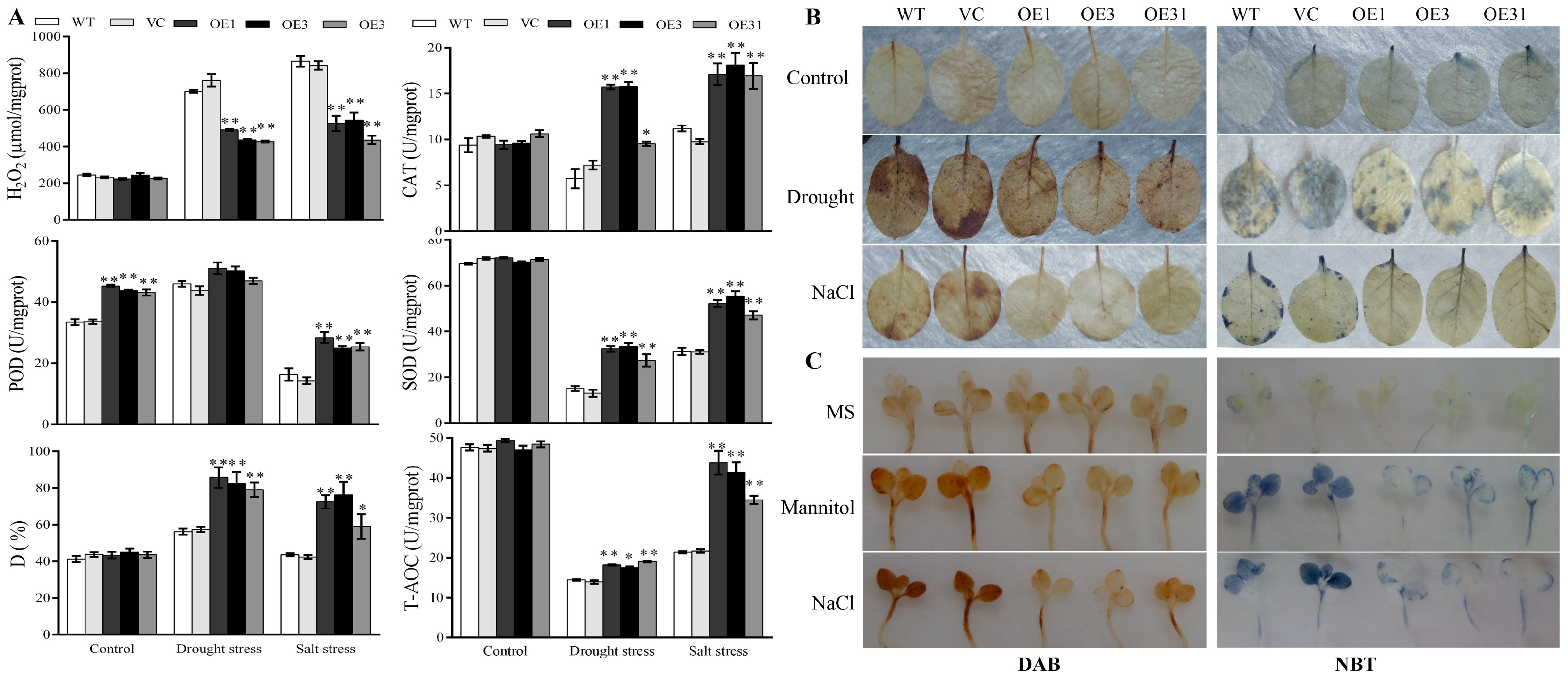 Plants 13 00245 g003