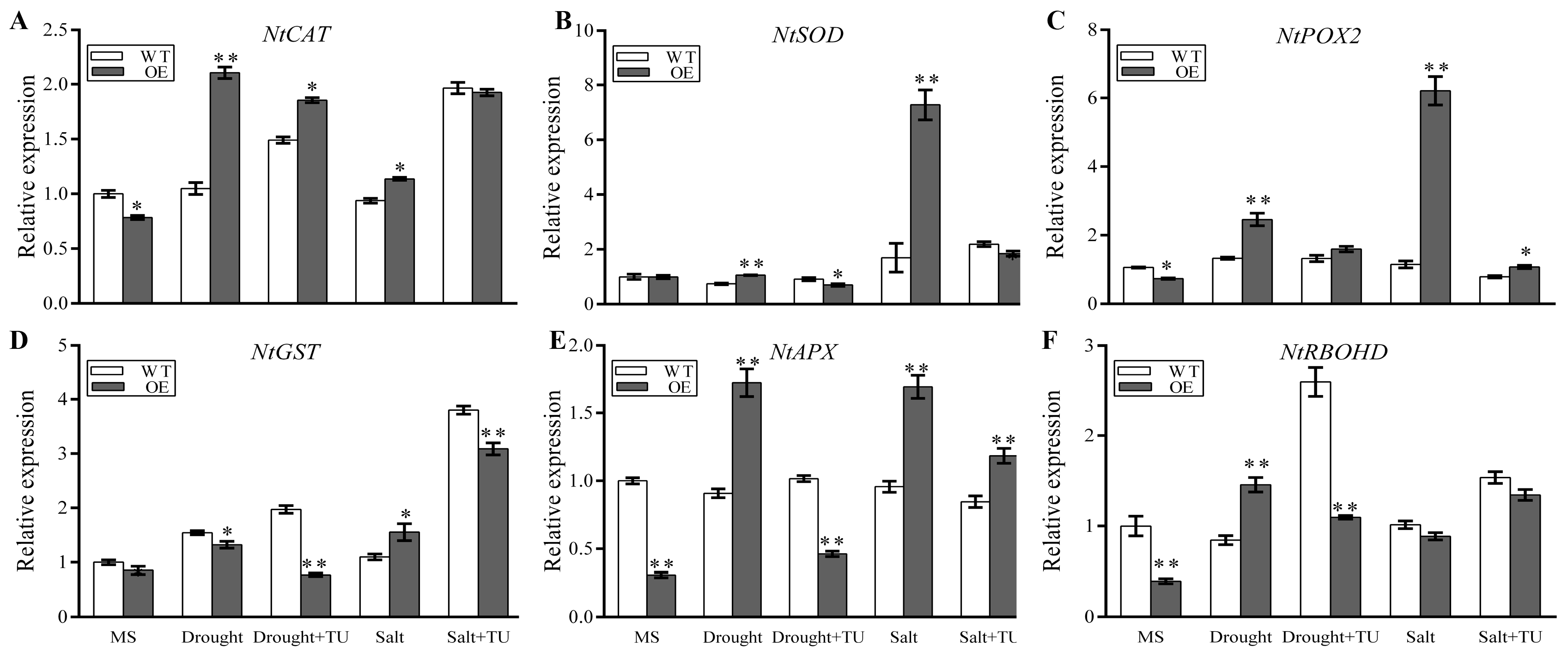 Plants 13 00245 g004