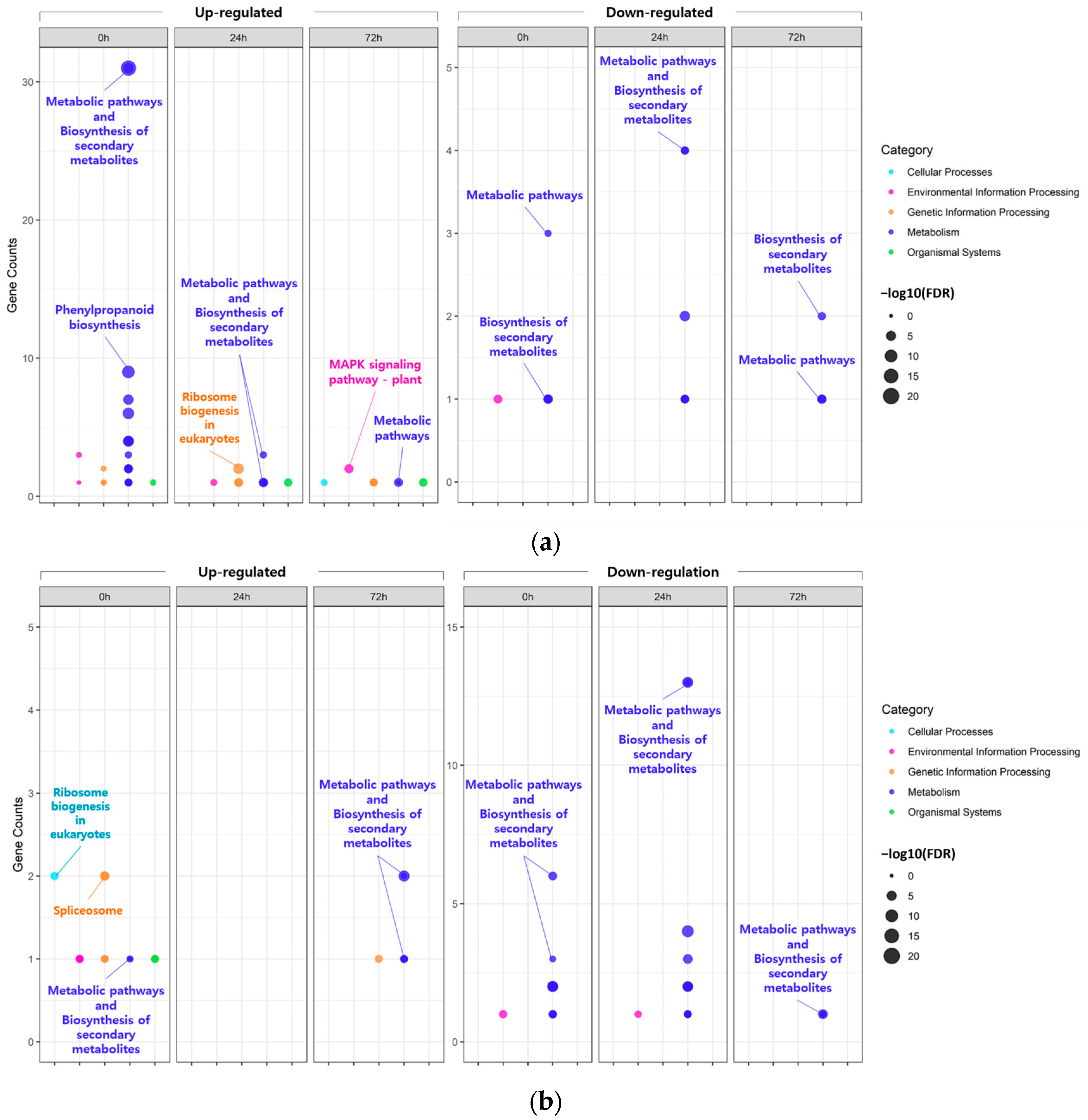Plants 13 00254 g003
