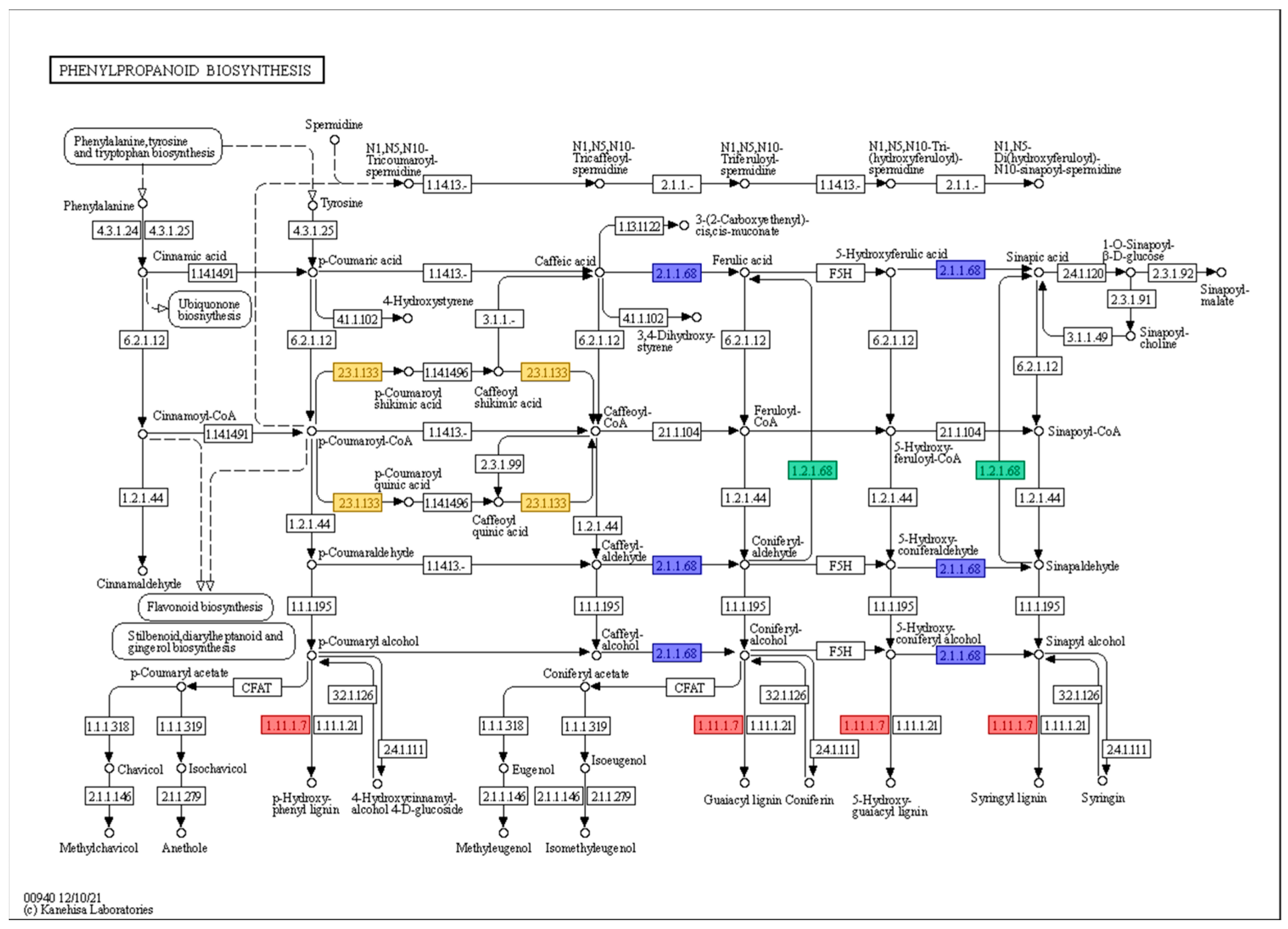 Plants 13 00254 g004
