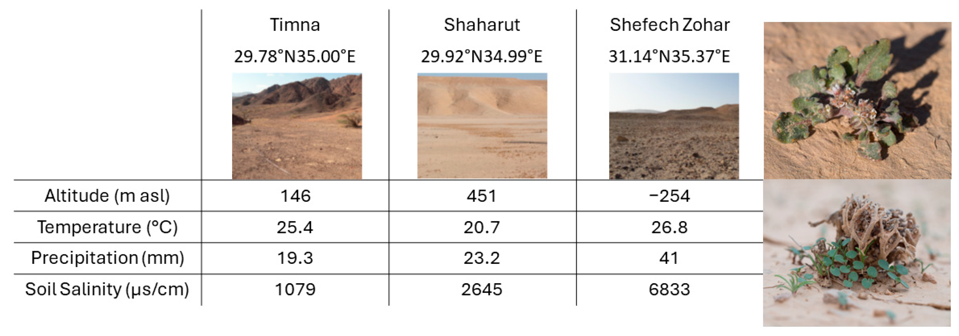 Plants 13 00256 g006 Plants 13 00256 g006