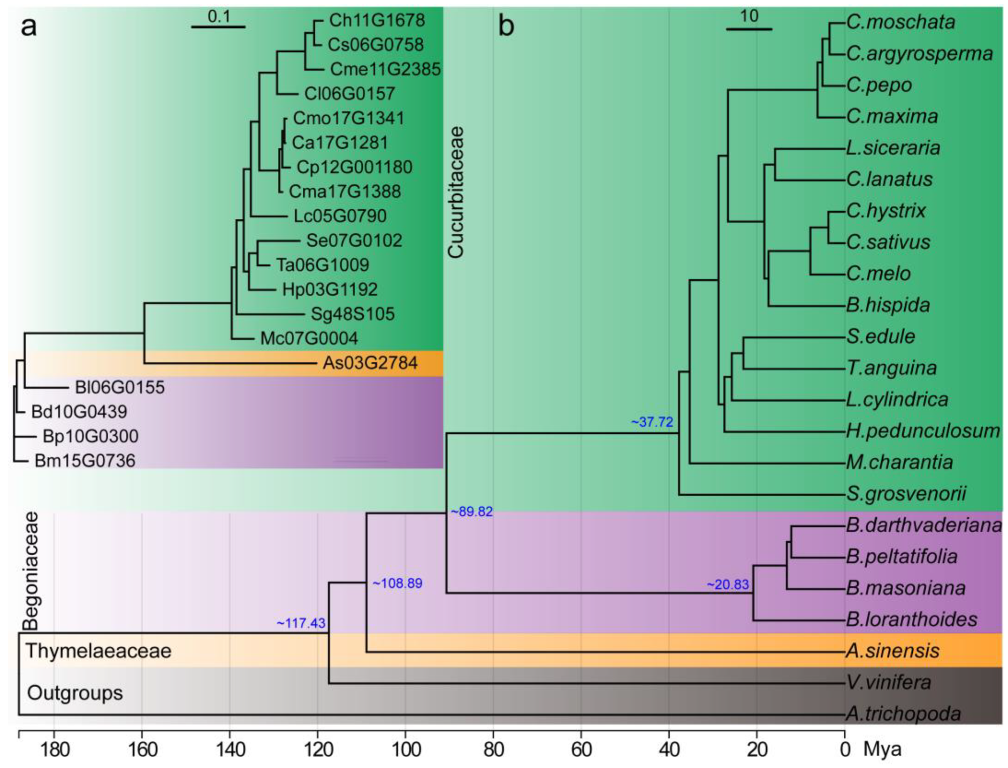 Plants 13 00260 g002 Plants 13 00260 g002