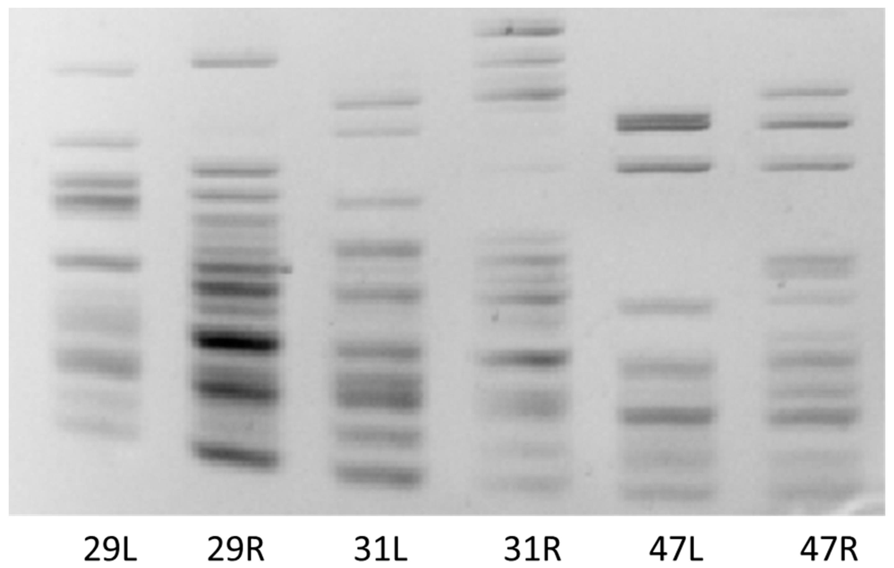 Plants 13 00261 g006