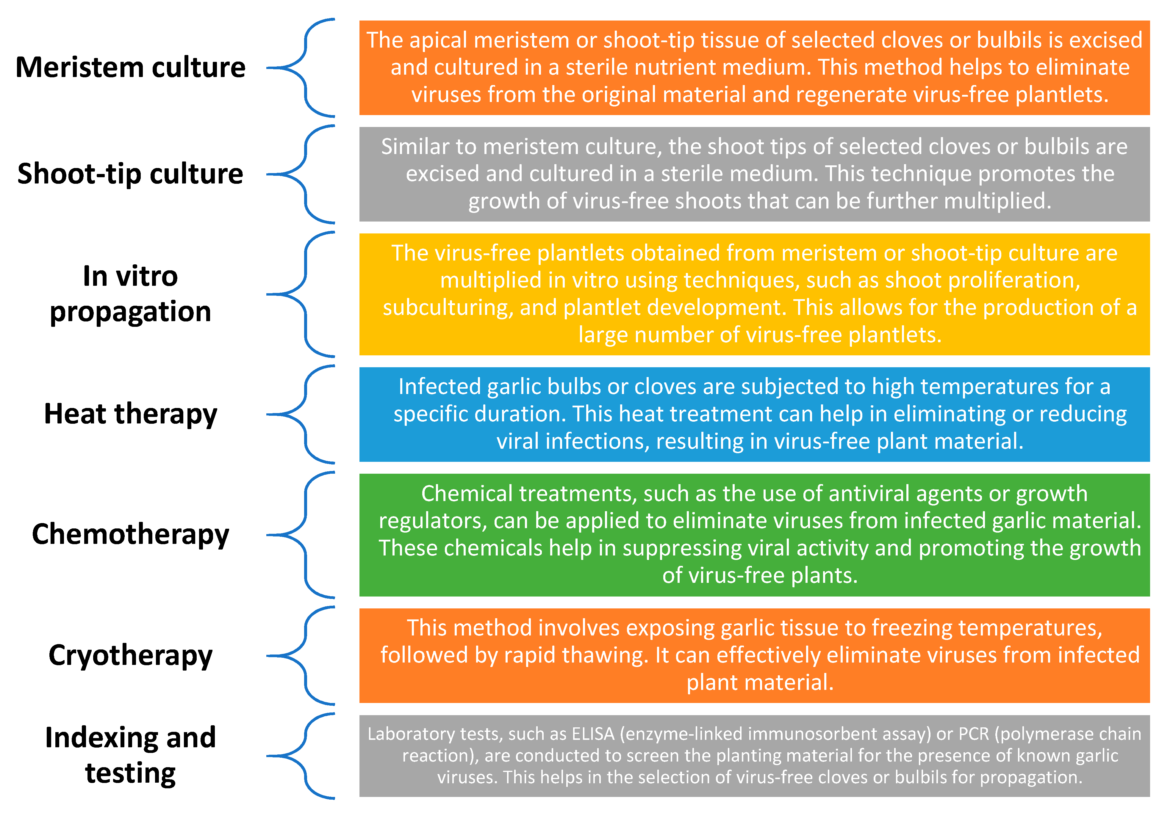 Plants 13 00267 g003 Plants 13 00267 g003
