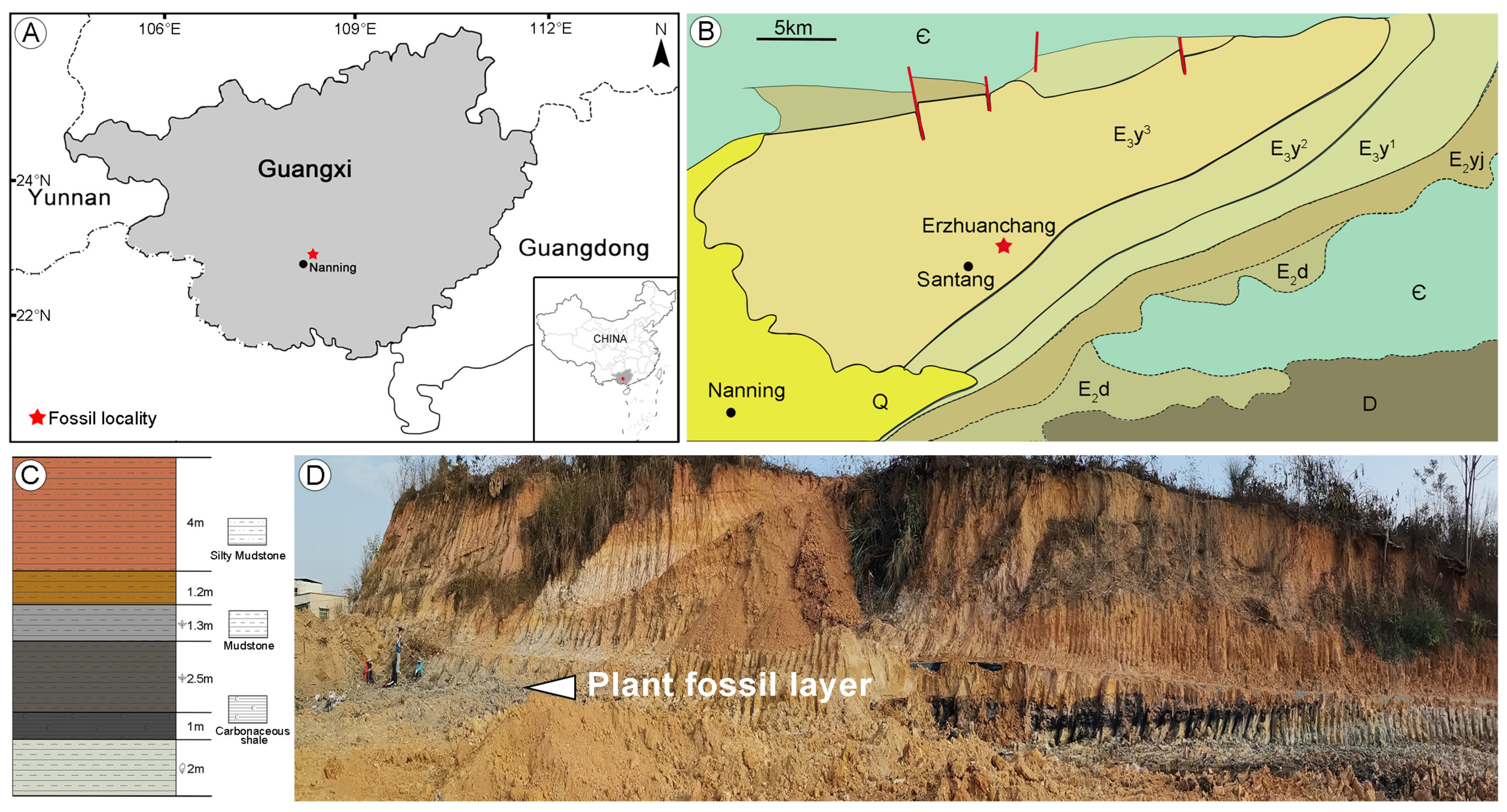 Plants 13 00275 g009