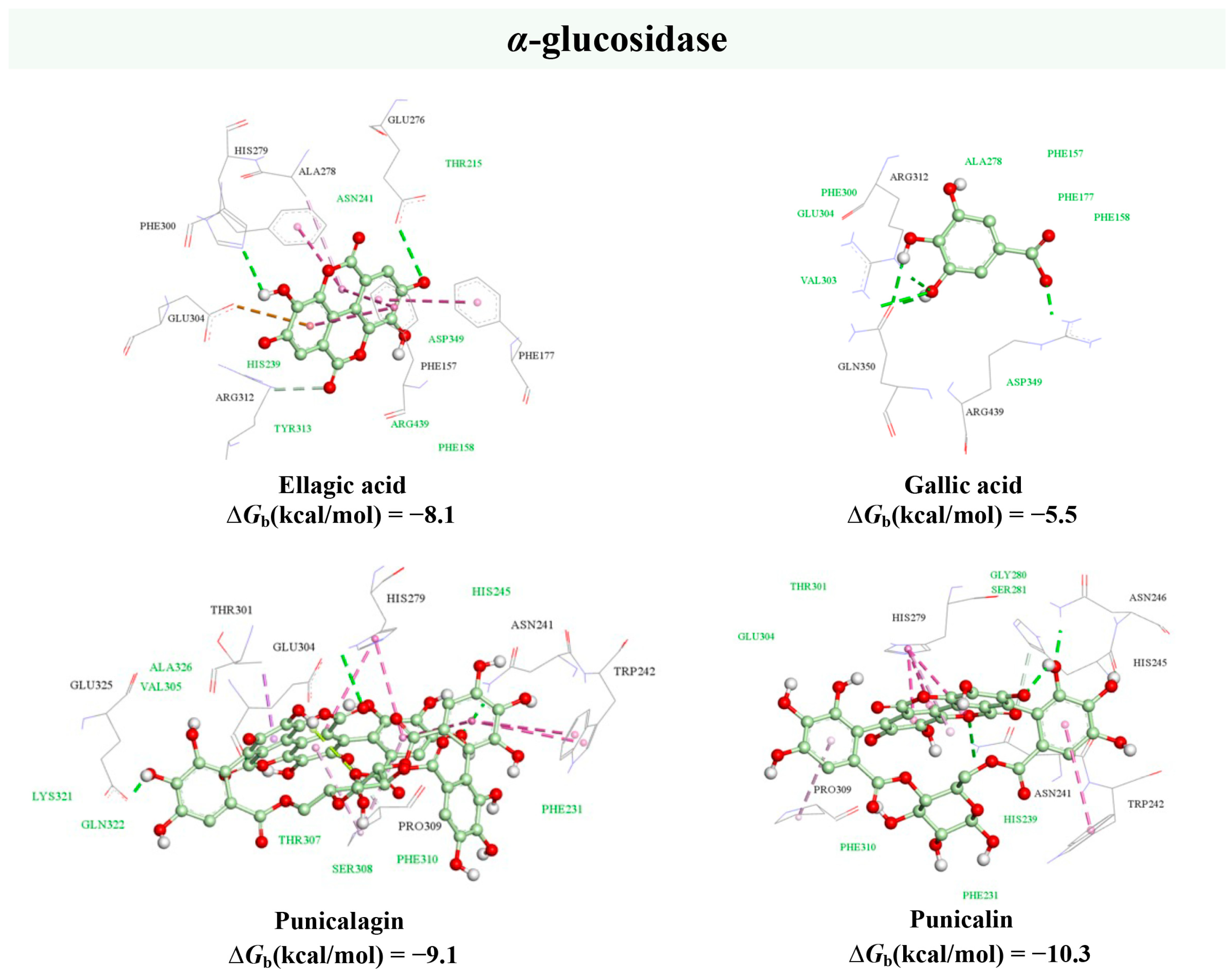 Plants 13 00281 g005