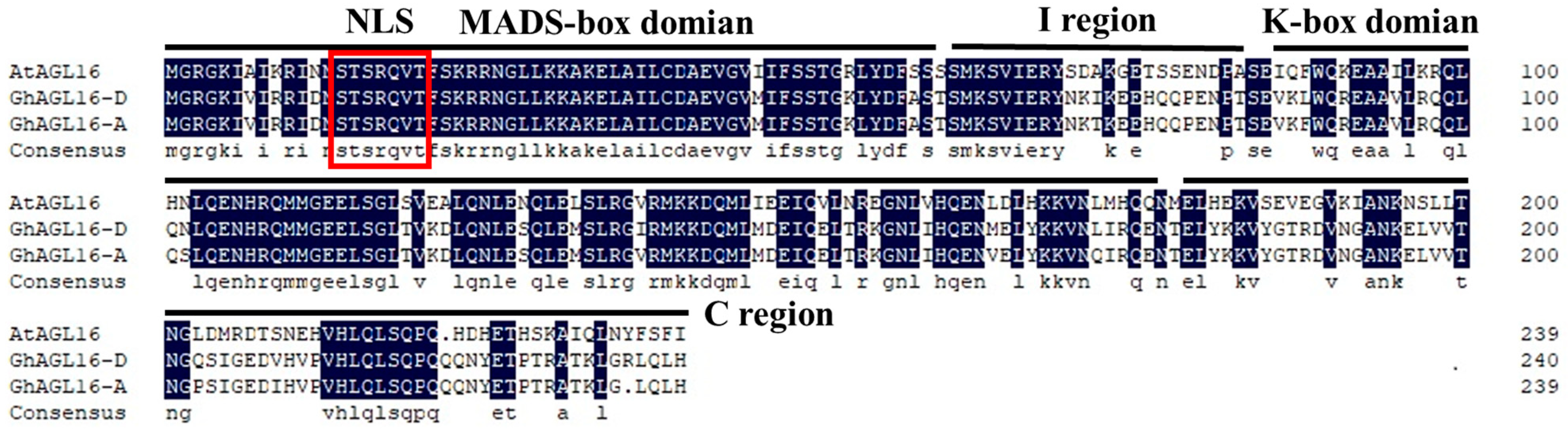 Plants 13 00282 g001