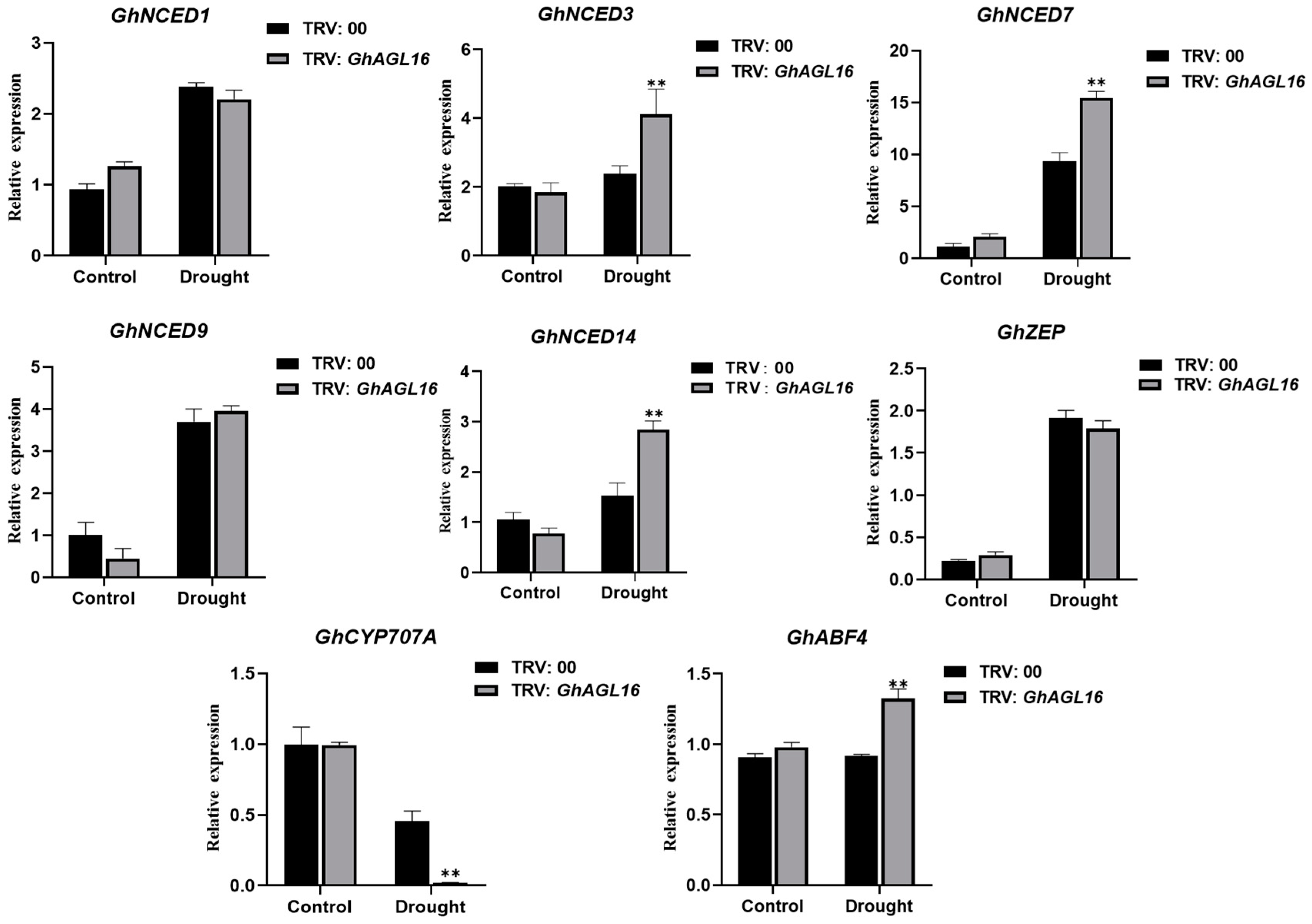 Plants 13 00282 g008