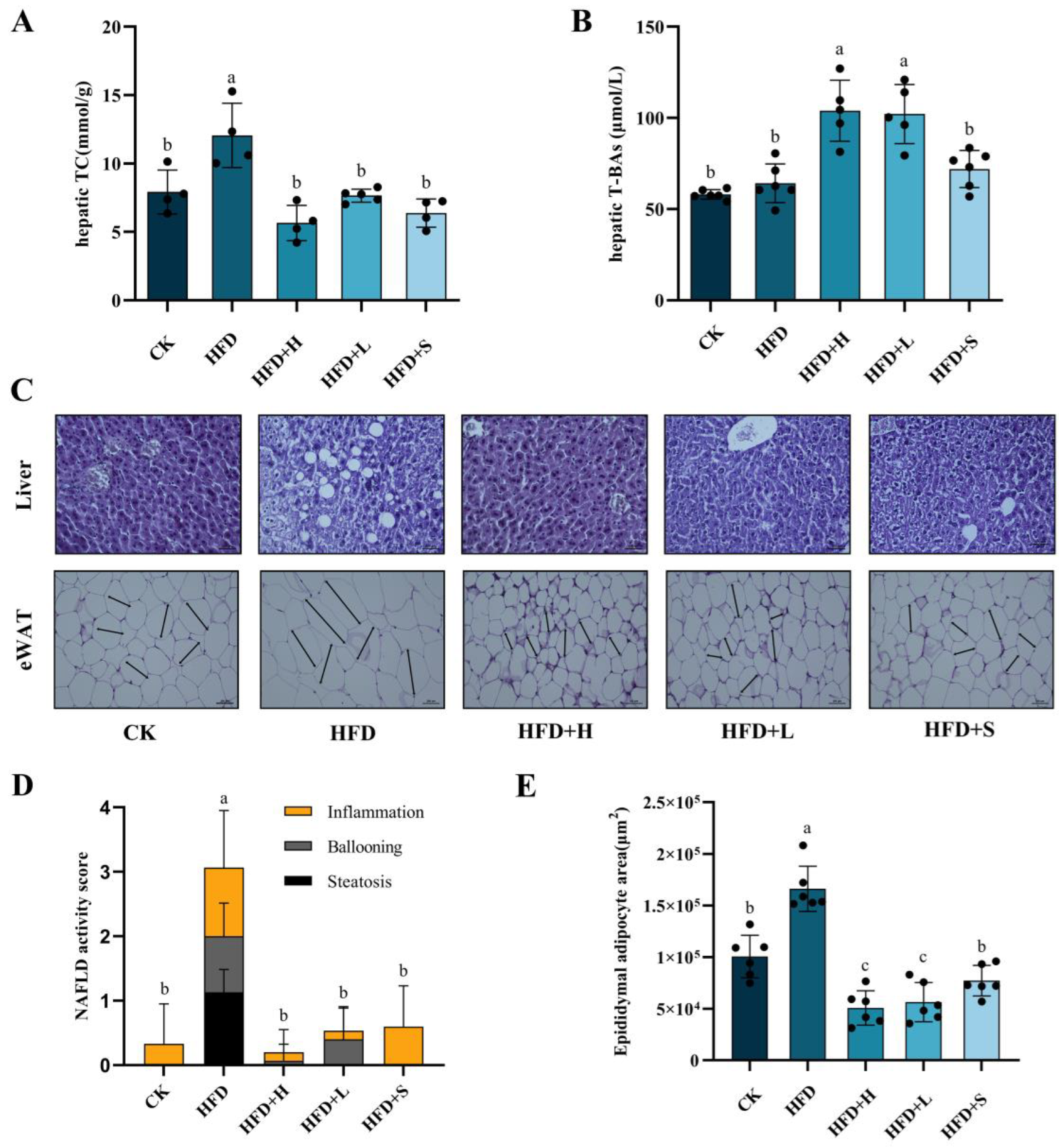 Plants 13 00288 g001