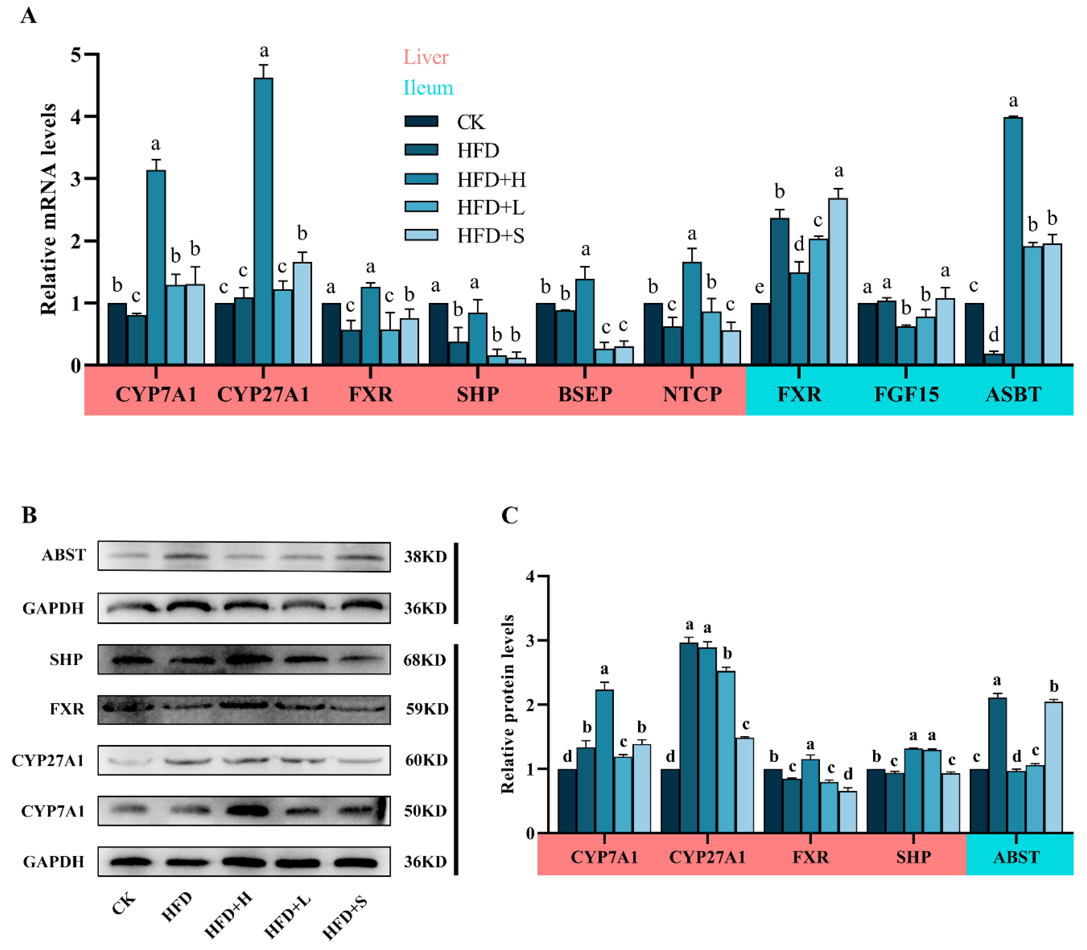 Plants 13 00288 g004
