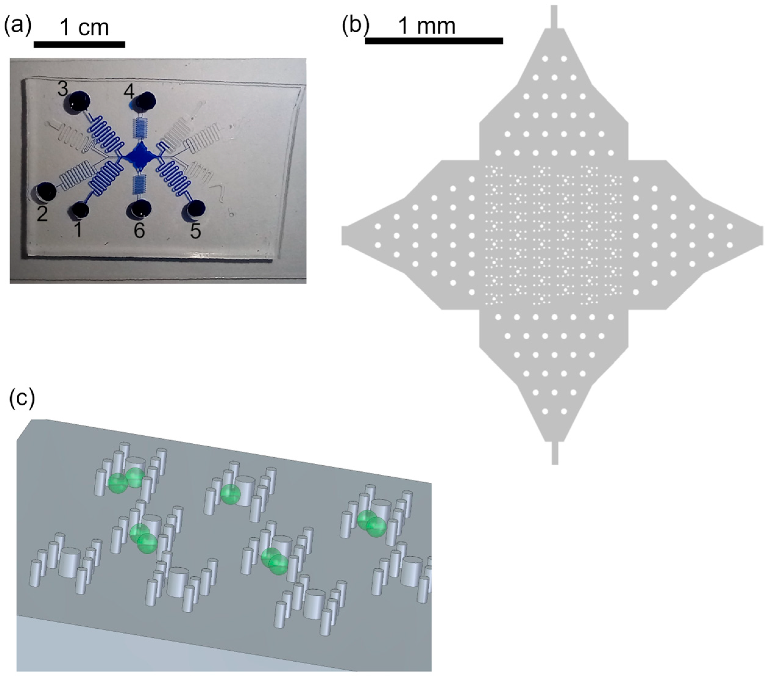Plants 13 00295 g001