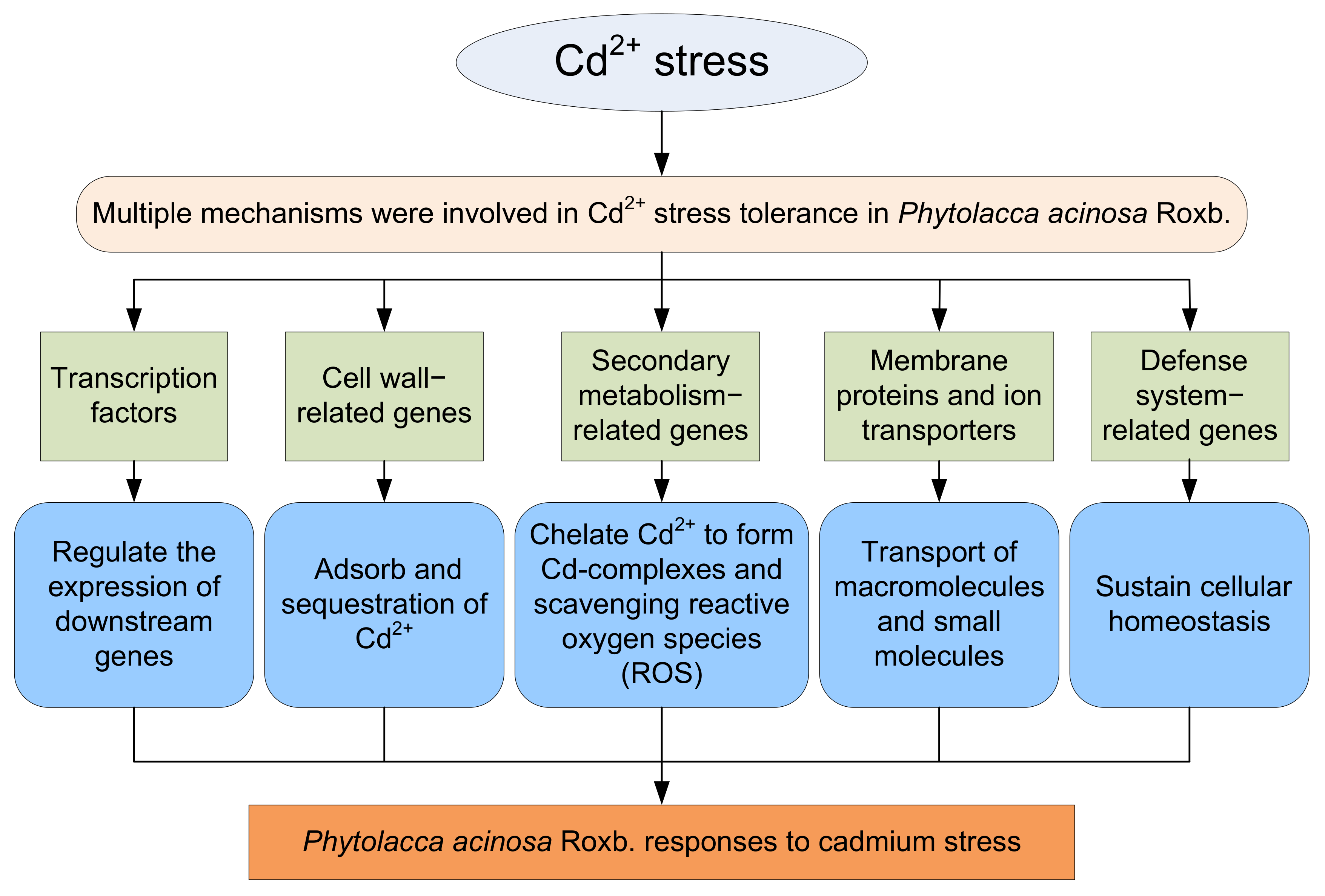 Plants 13 00297 g012
