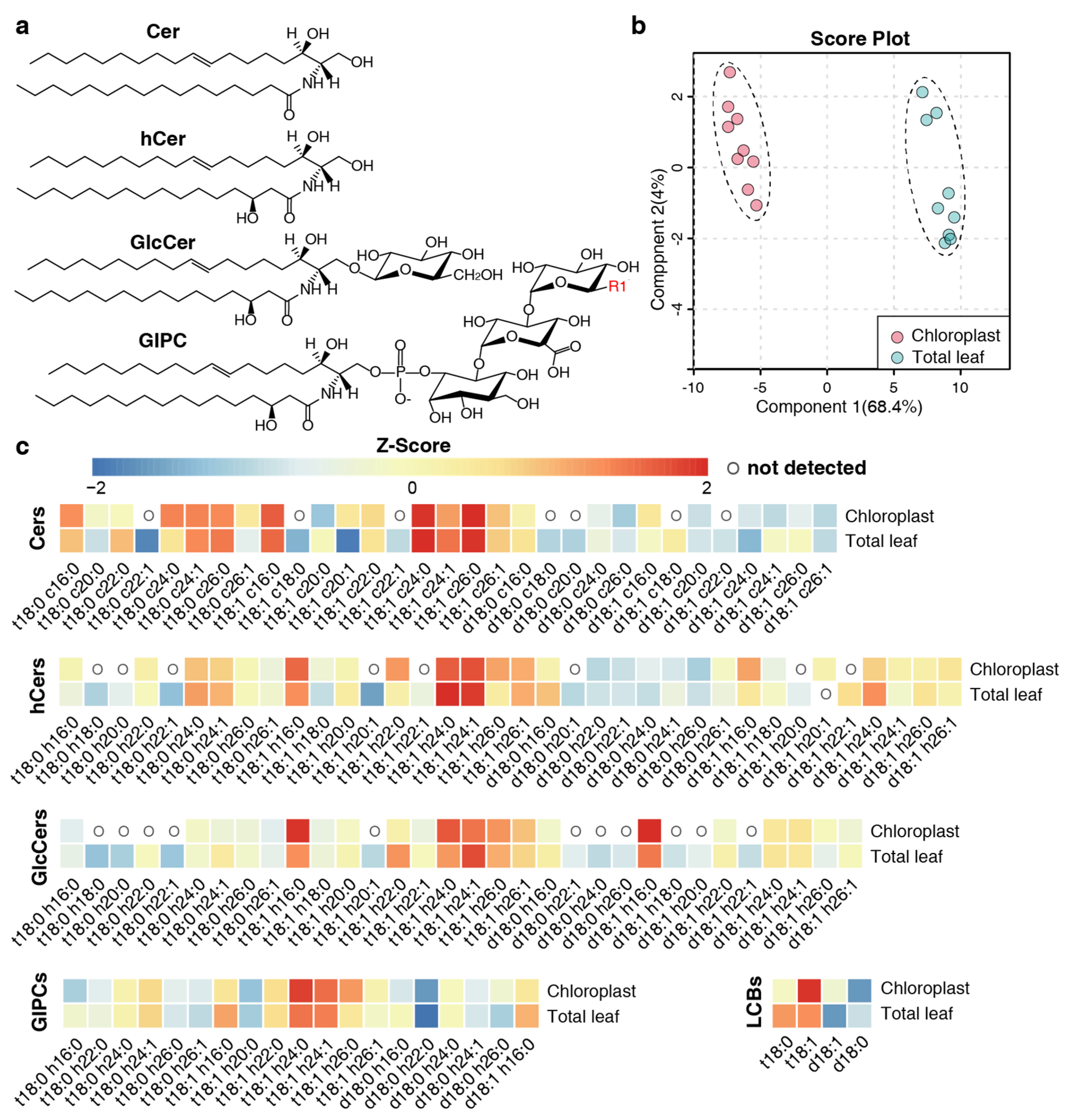 Plants 13 00299 g002