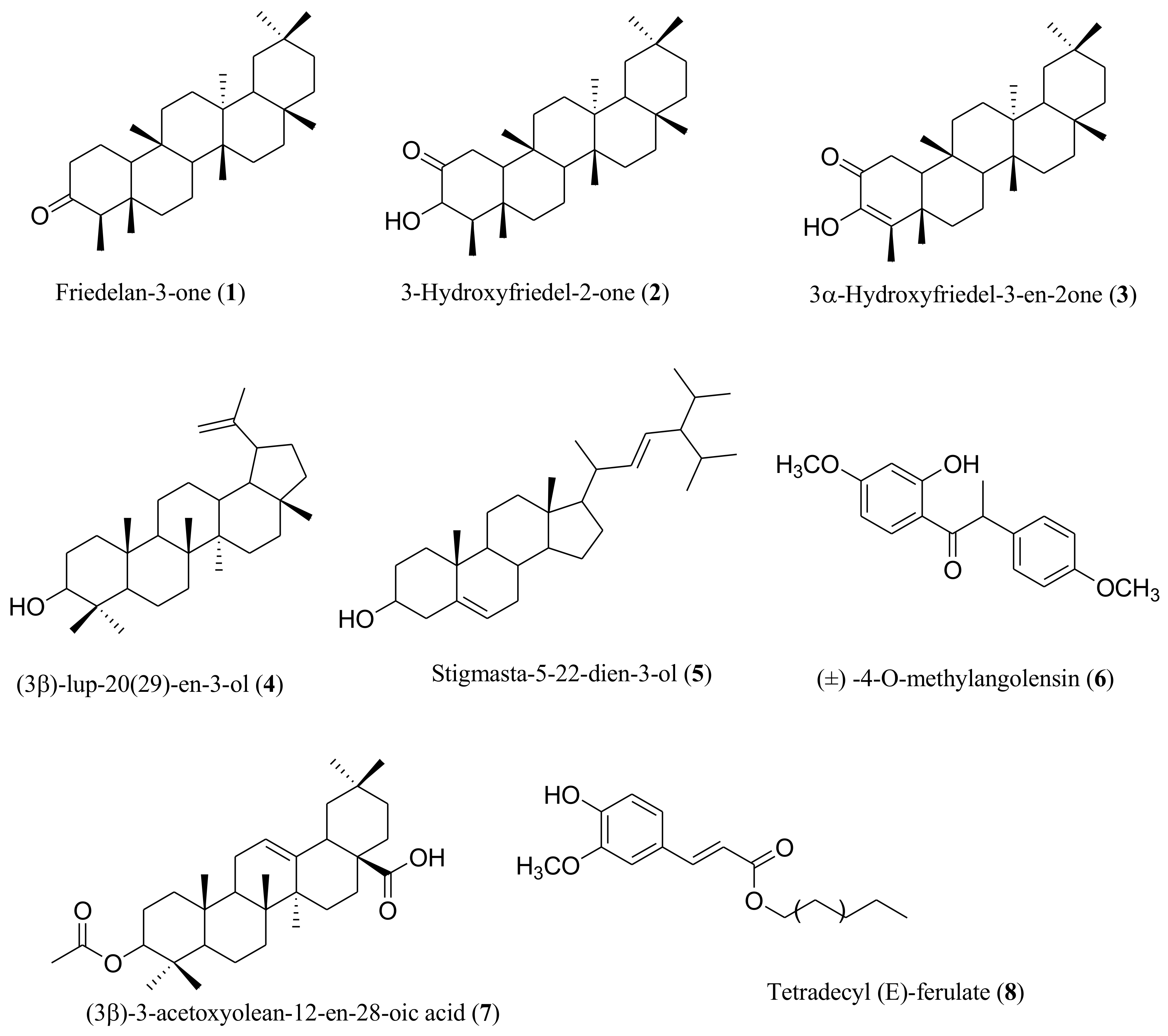 Plants 13 00301 g001 Plants 13 00301 g001