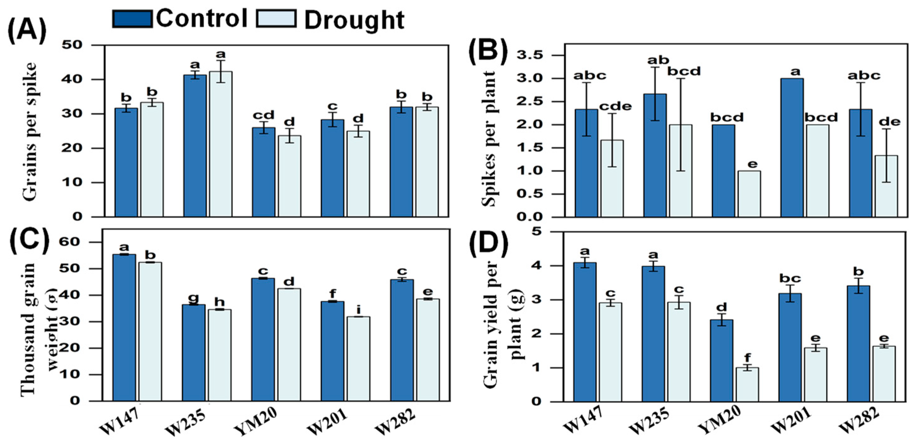 Plants 13 00307 g005 Plants 13 00307 g005