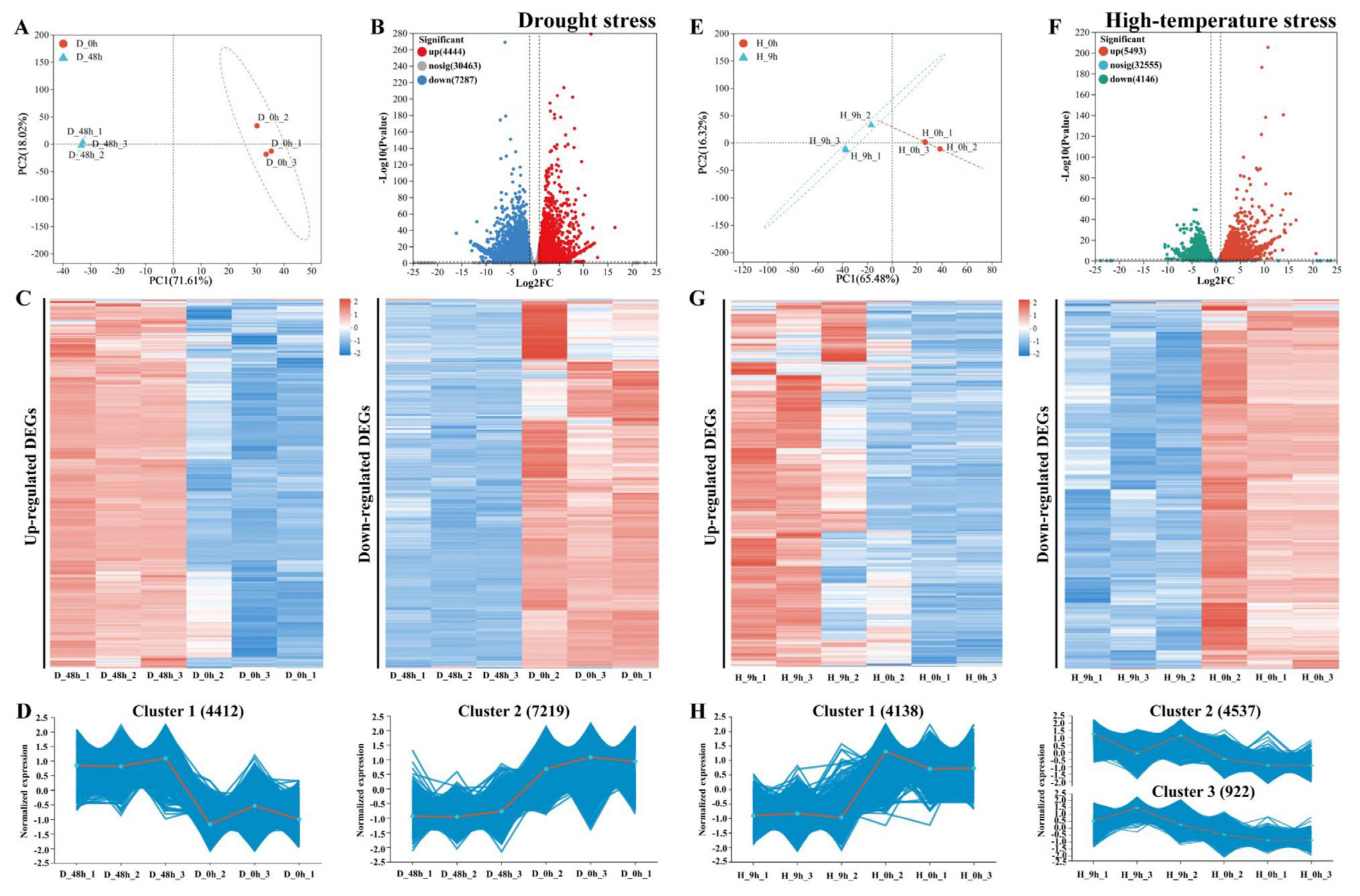 Plants 13 00309 g002