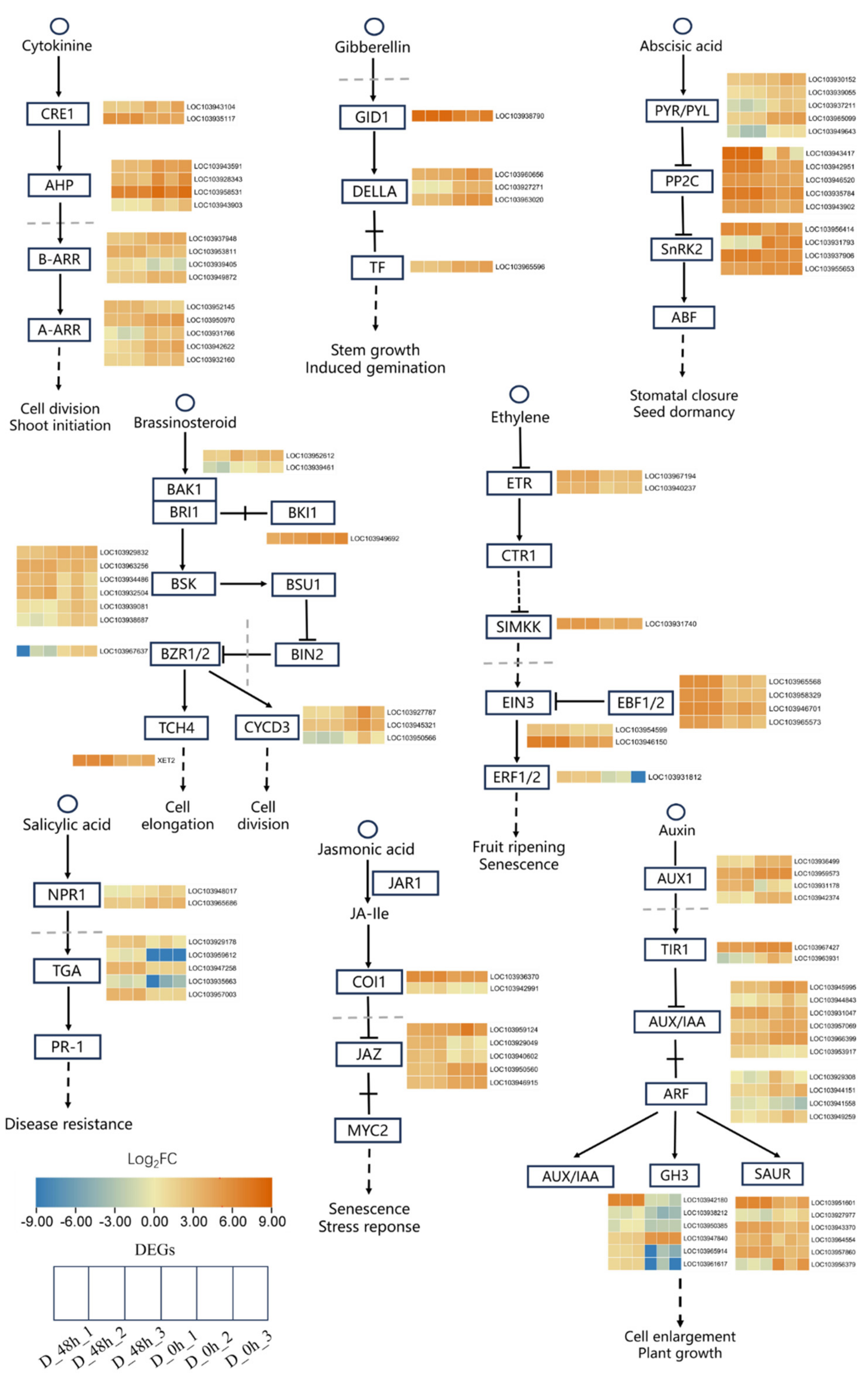 Plants 13 00309 g004