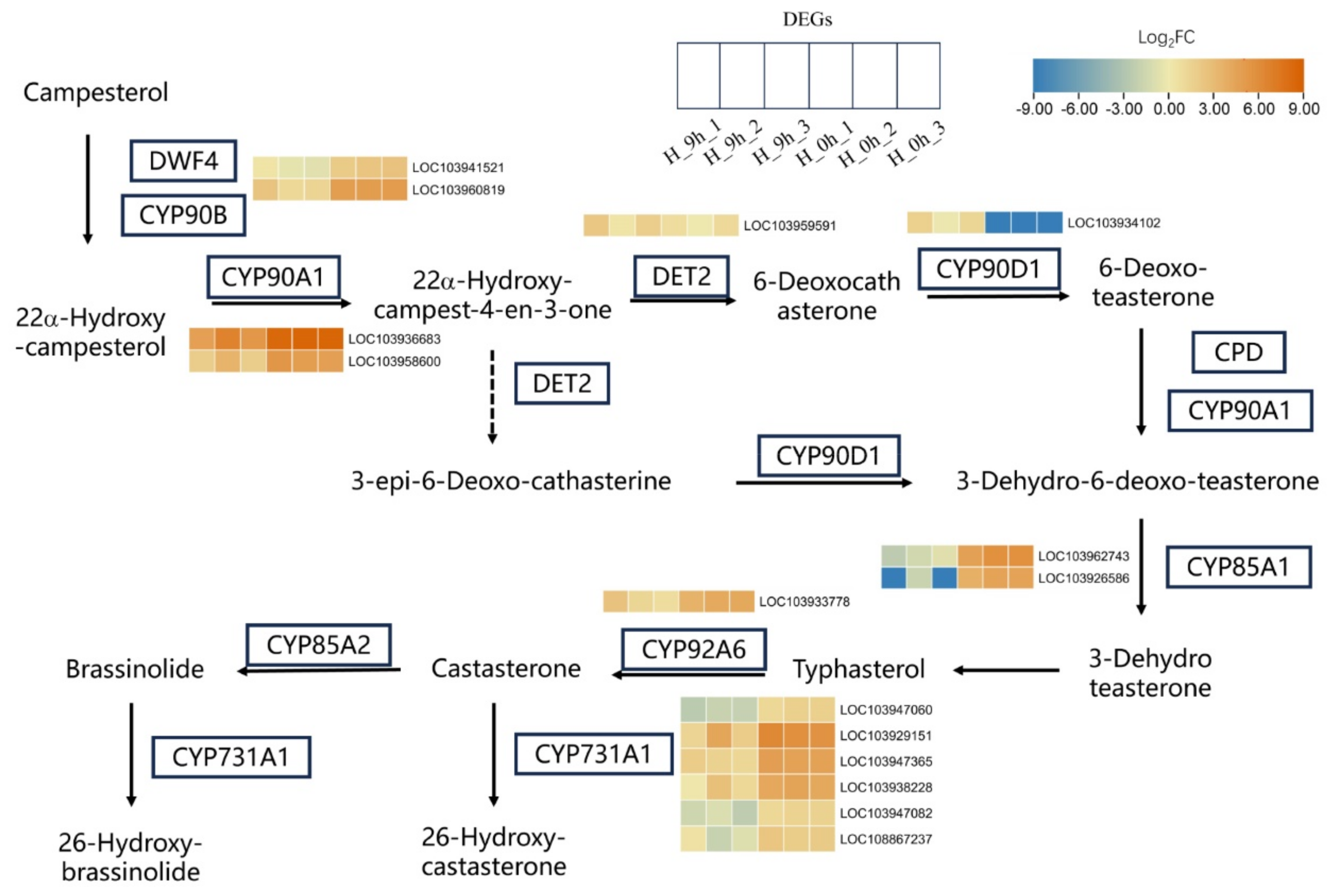 Plants 13 00309 g005