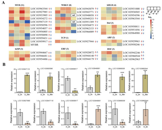Transcriptome Analysis Reveals Key Genes Involved in the Response of ...