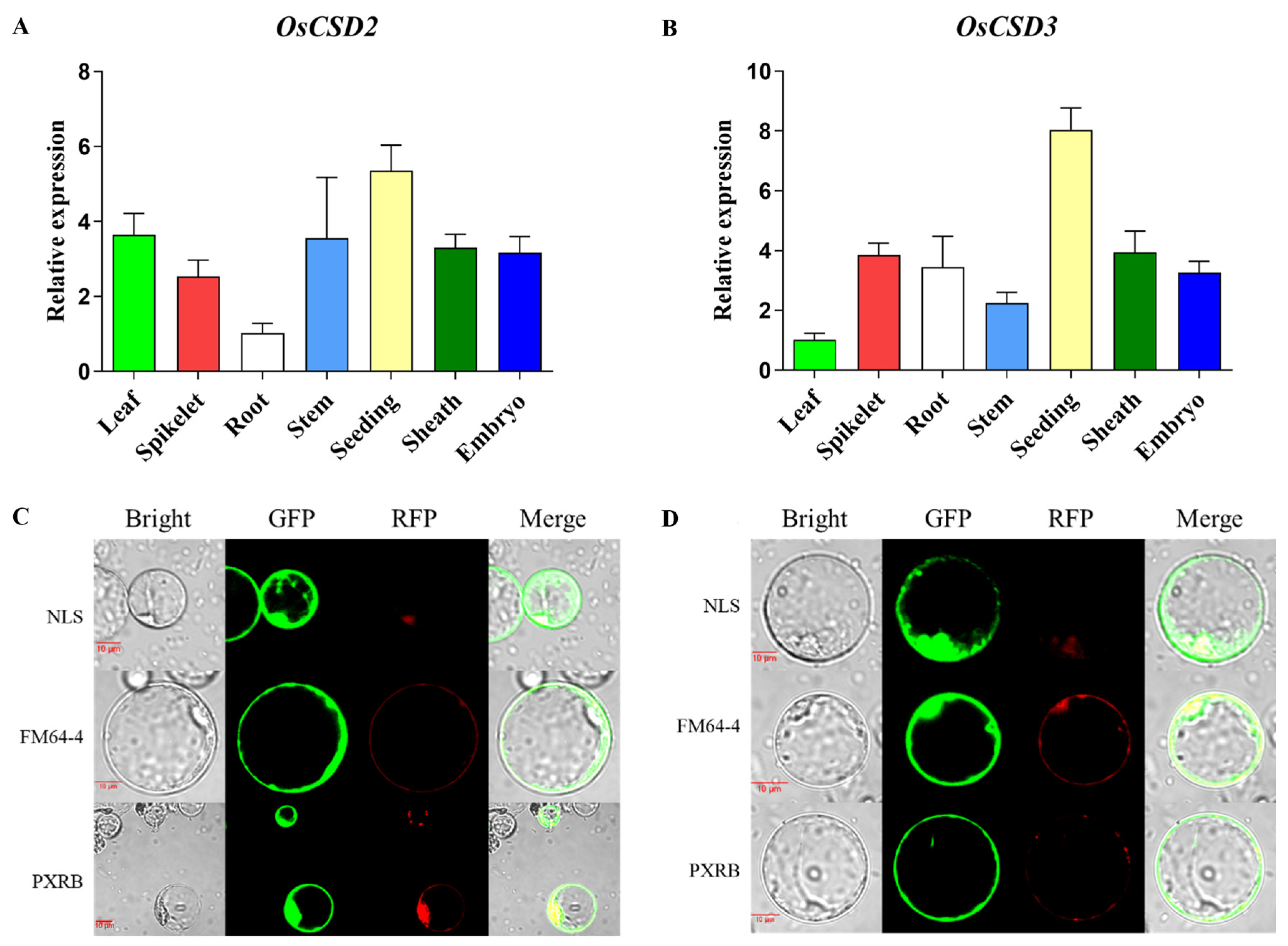 Plants 13 00310 g005