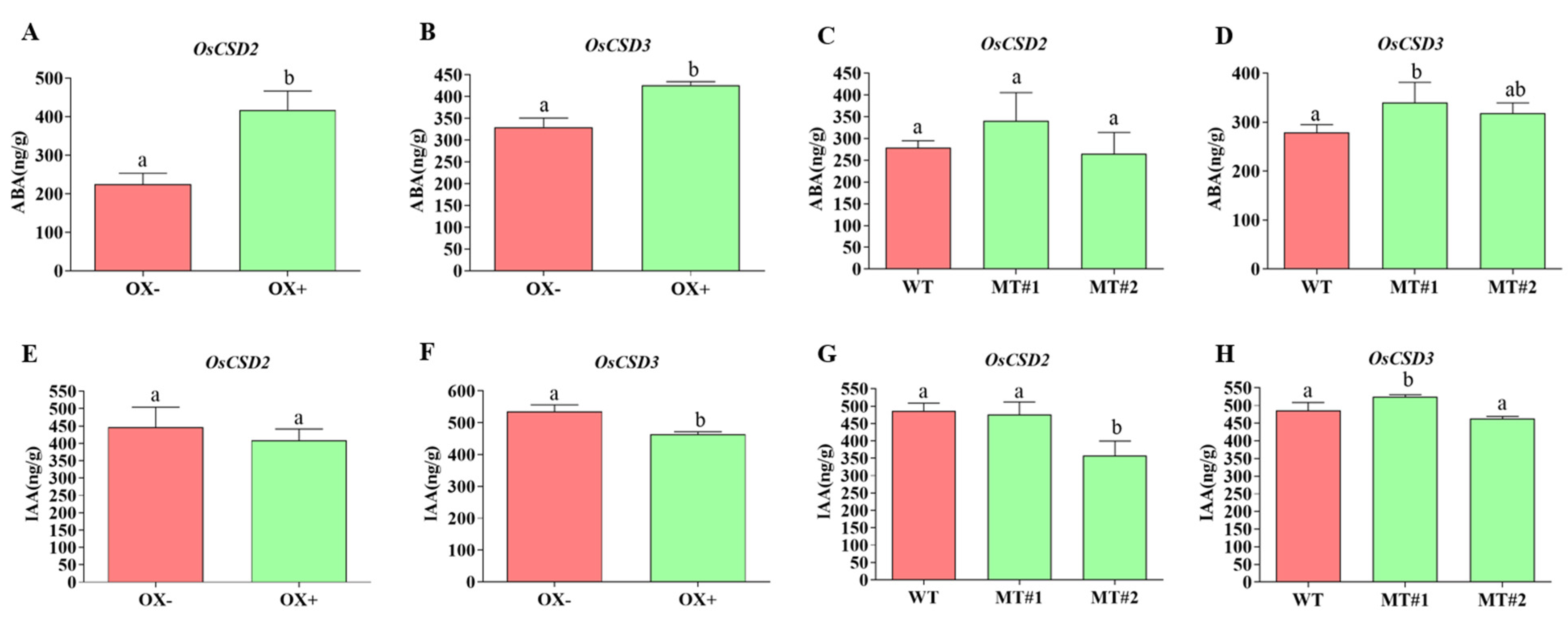 Plants 13 00310 g008